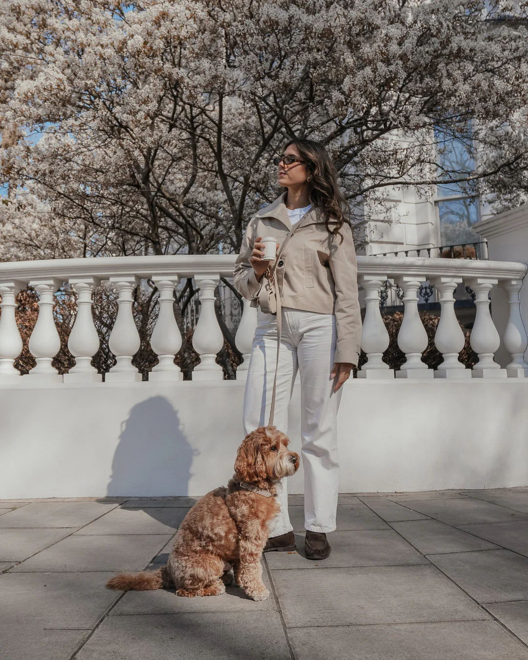 Your Style, Your Sanctuary