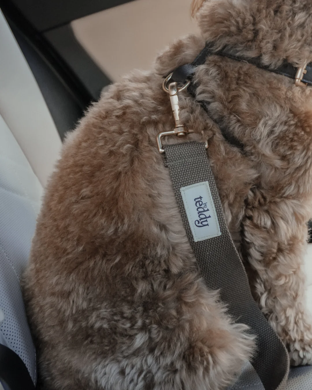 Adjustable Seat Belt Safety Clip - Image 4