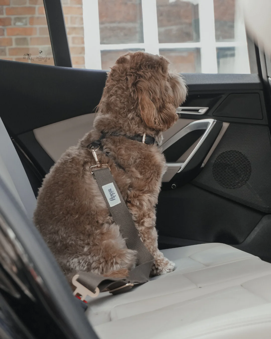 Adjustable Seat Belt Safety Clip - Image 6