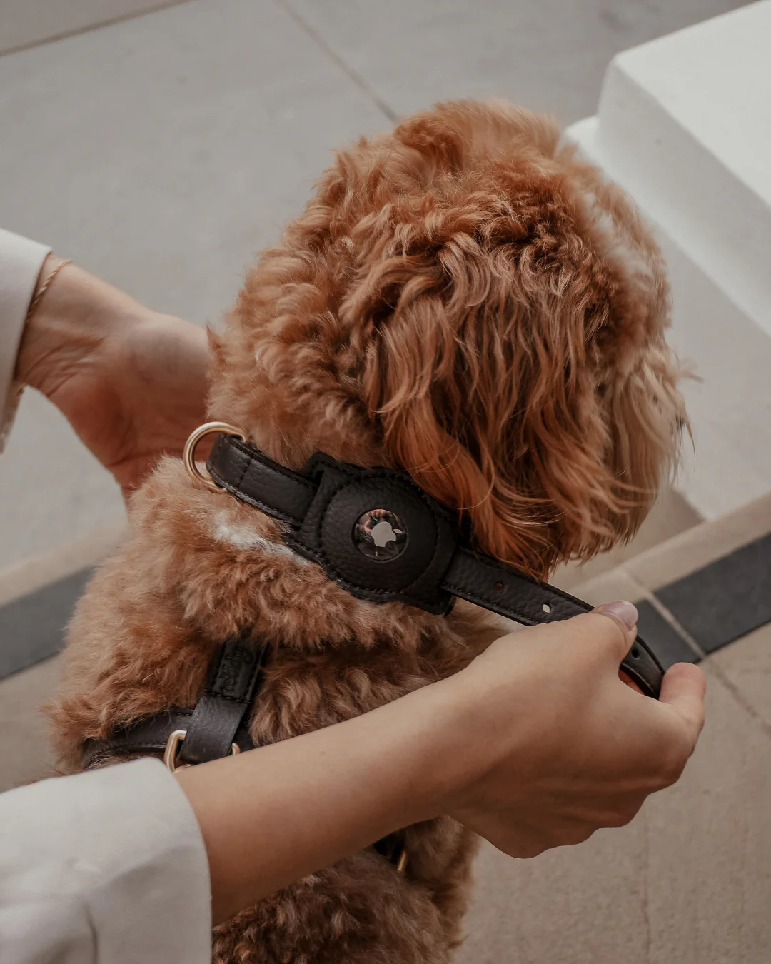 Chocolate┃Studio AirTag Holder - Image 4