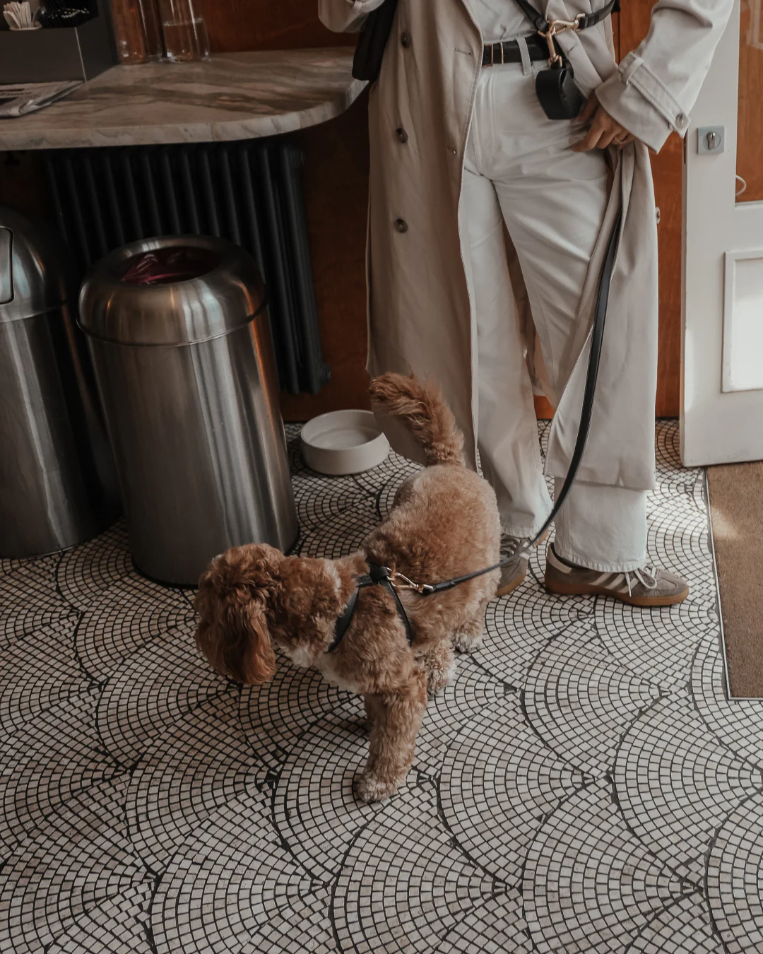 Chocolate┃Studio Step-In Harness - Image 5