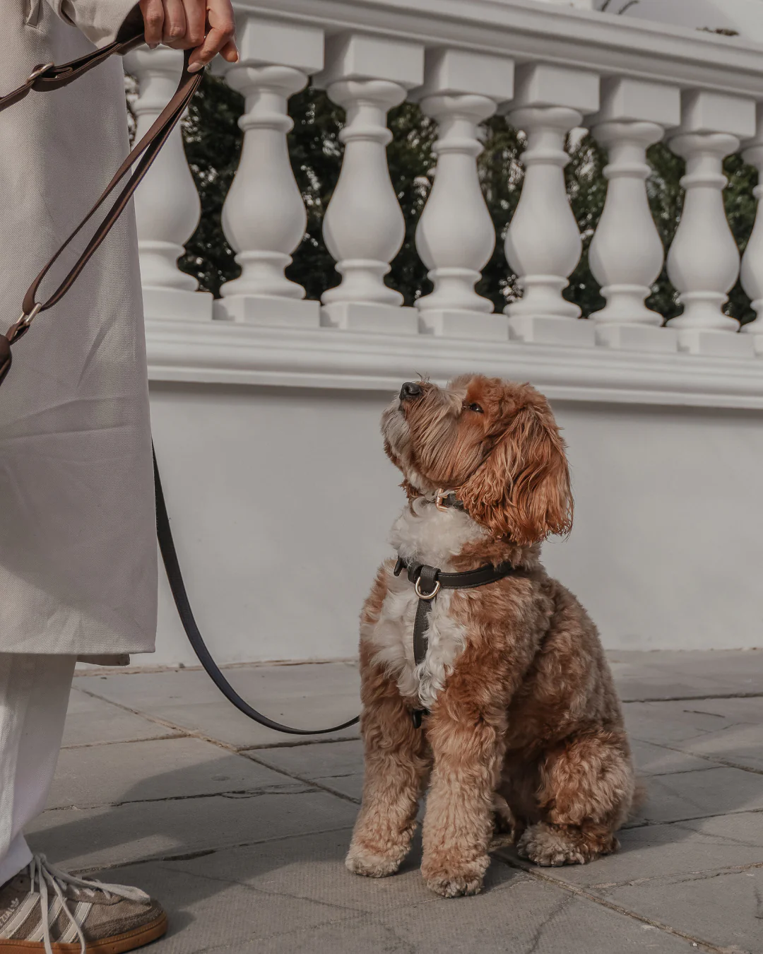 Chocolate┃Studio Step-In Harness - Image 8