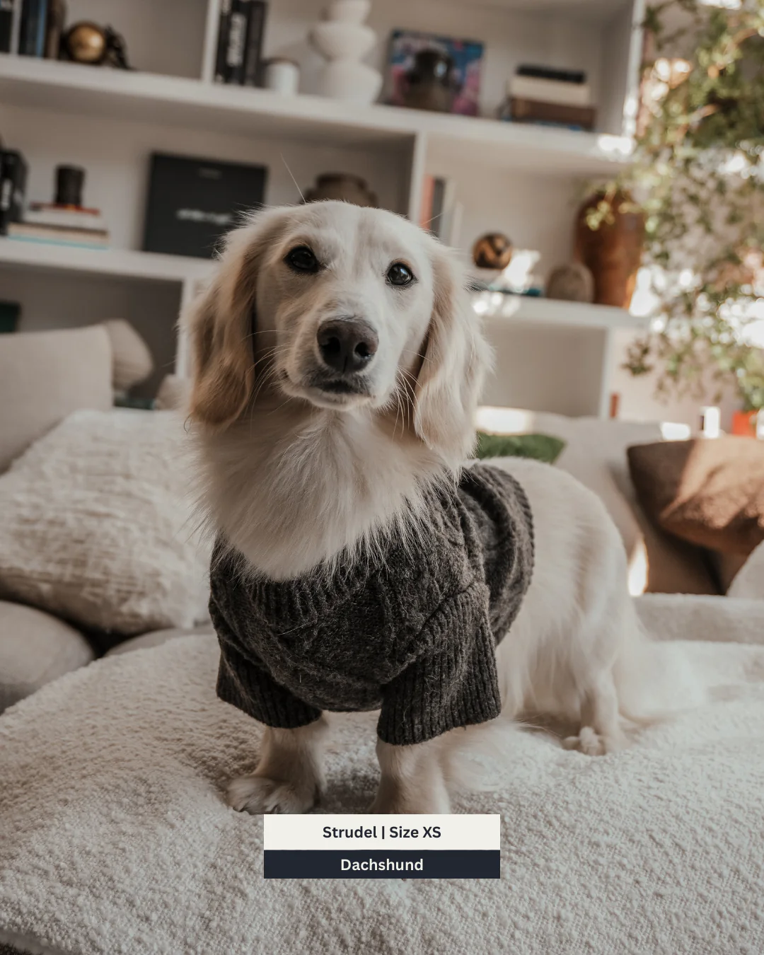 Chocolate | The Capsule Cable Knit - Image 11