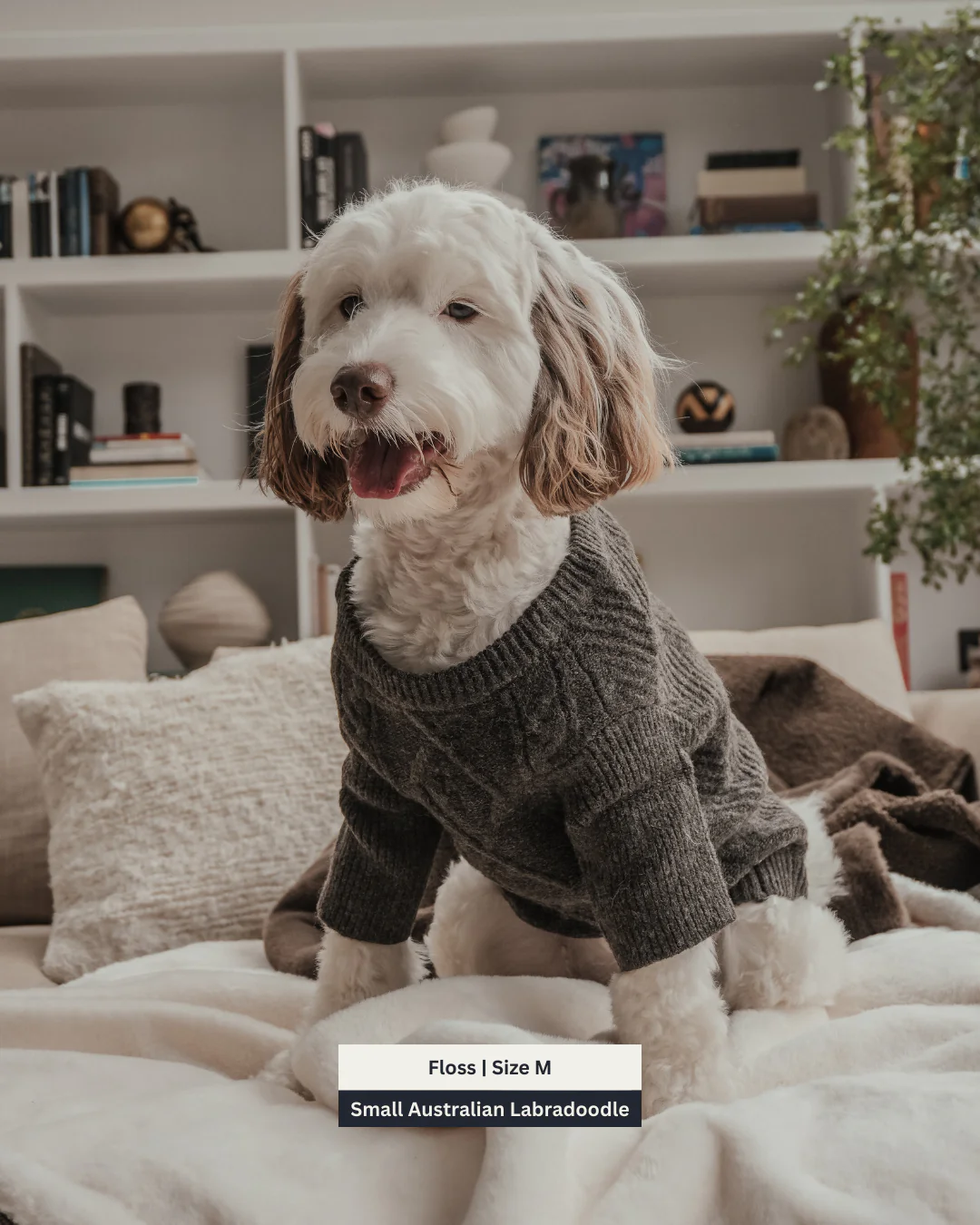 Chocolate | The Capsule Cable Knit - Image 4