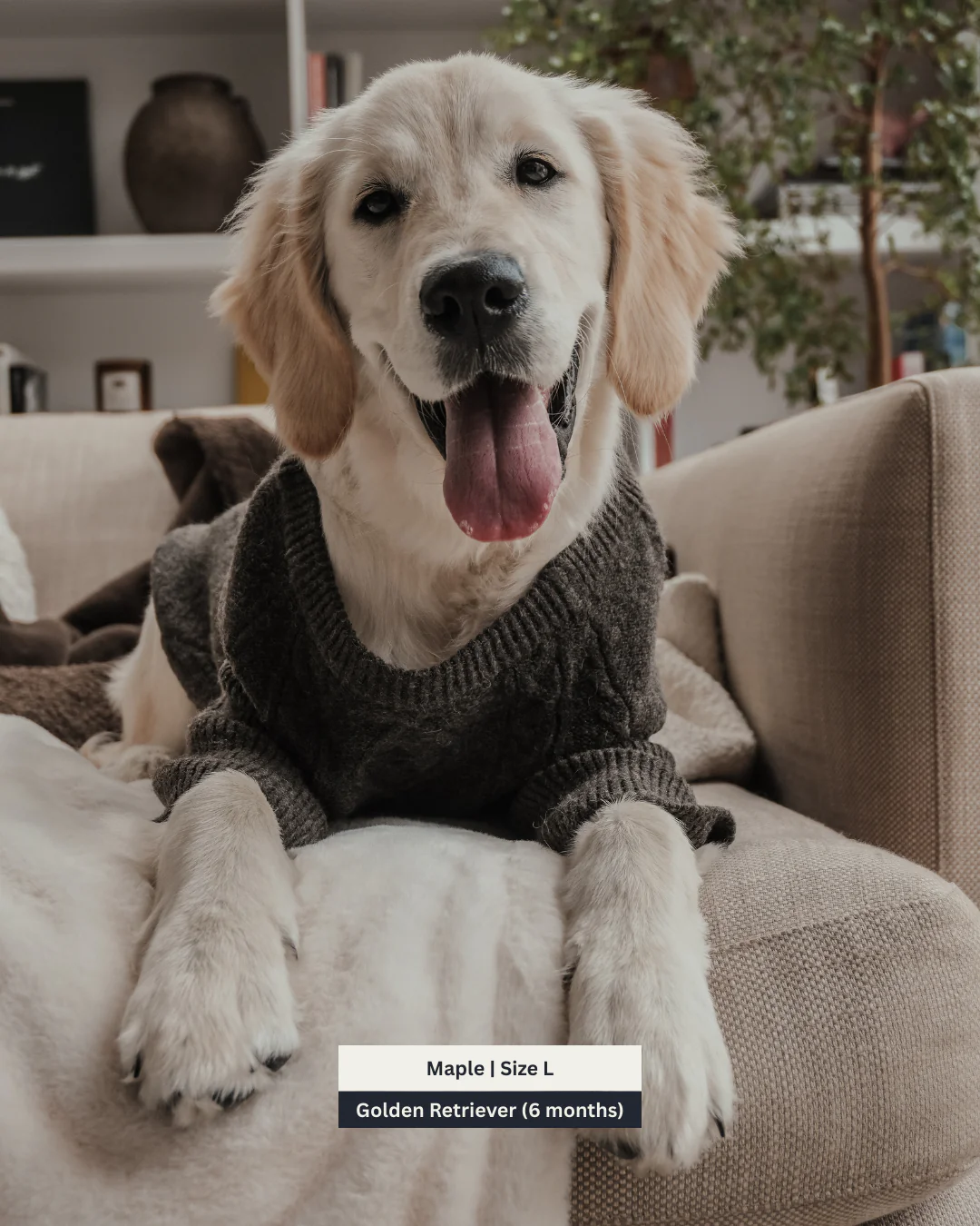 Chocolate | The Capsule Cable Knit - Image 5