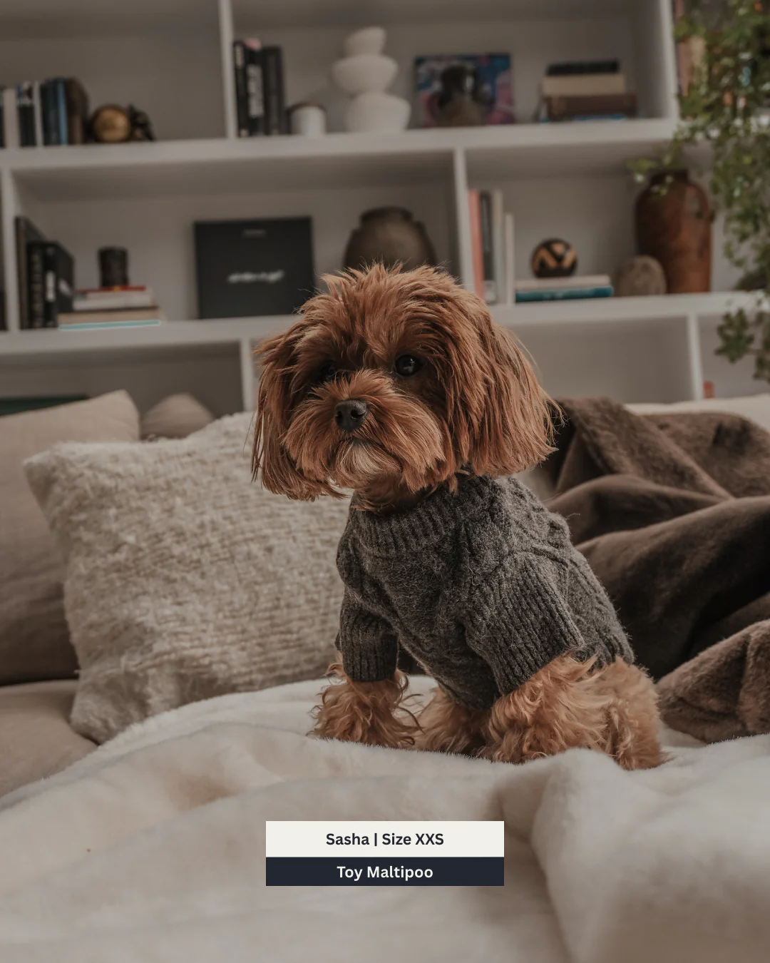 Chocolate | The Capsule Cable Knit - Image 6