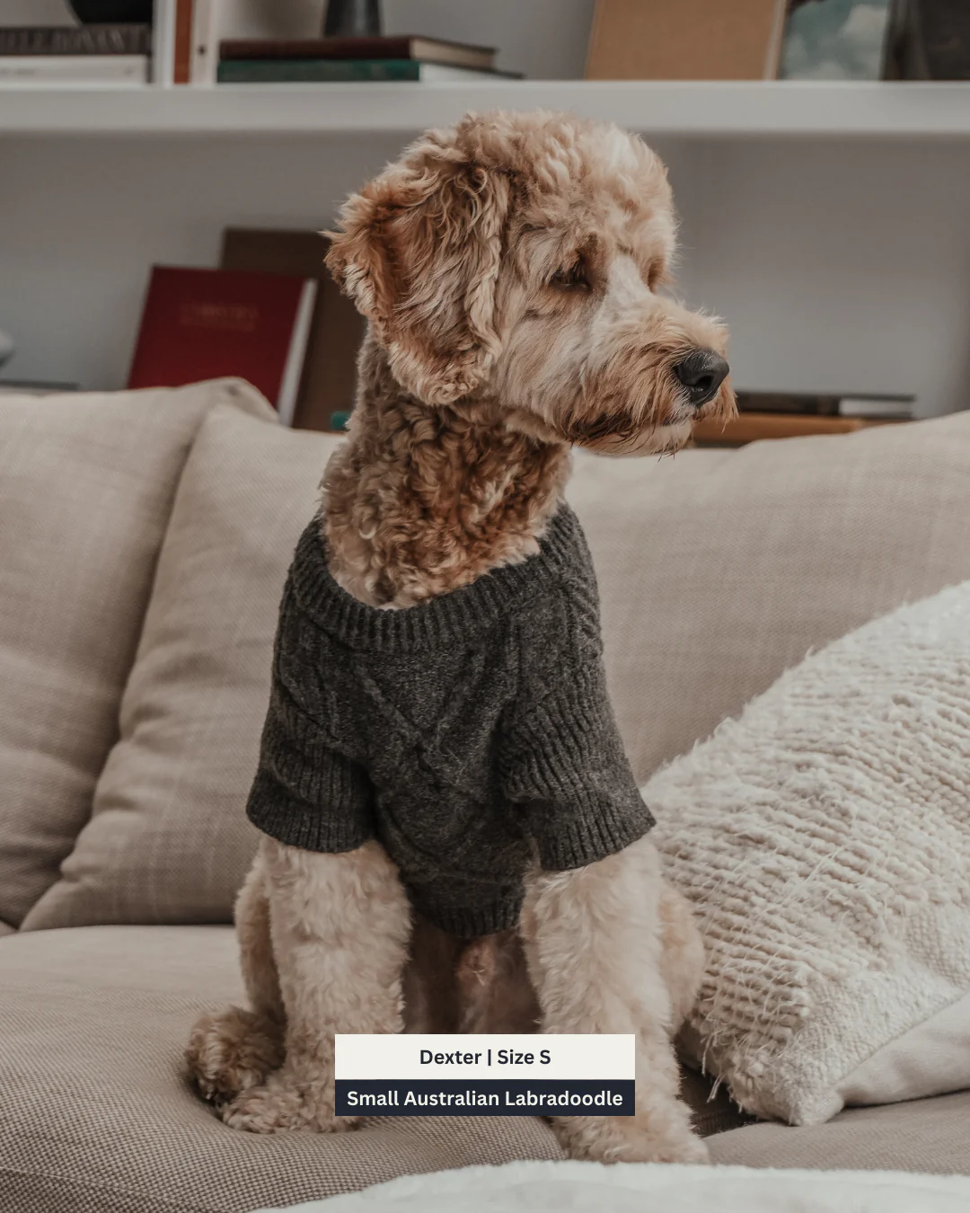 Chocolate | The Capsule Cable Knit - Image 9