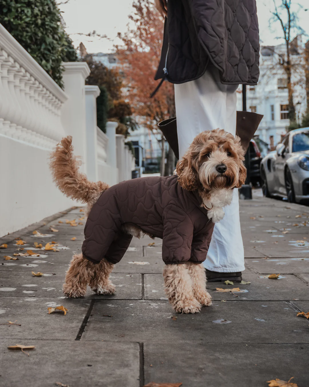 Chocolate | The Capsule Quilted Bodysuit - Image 5