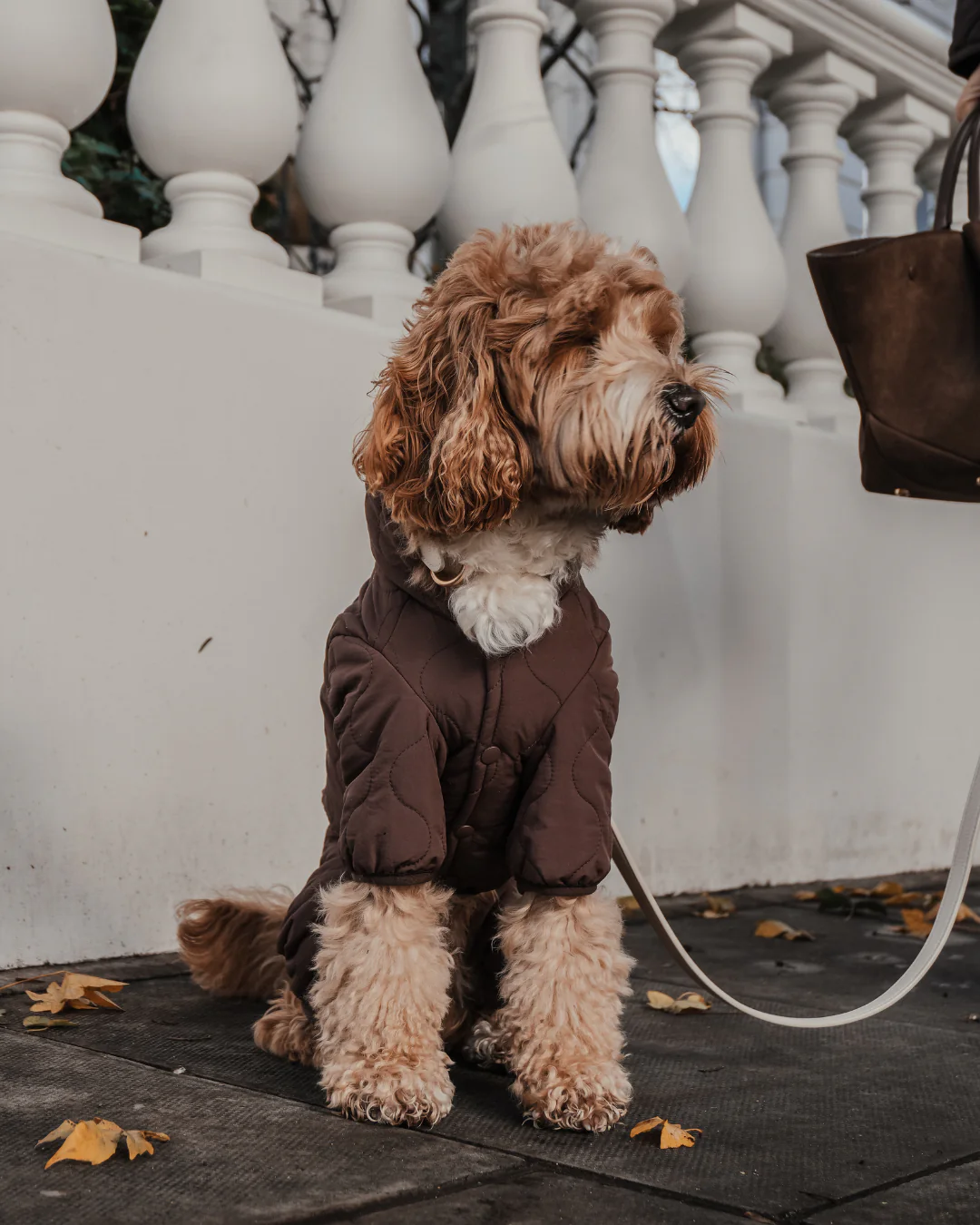 Chocolate | The Capsule Quilted Bodysuit - Image 8