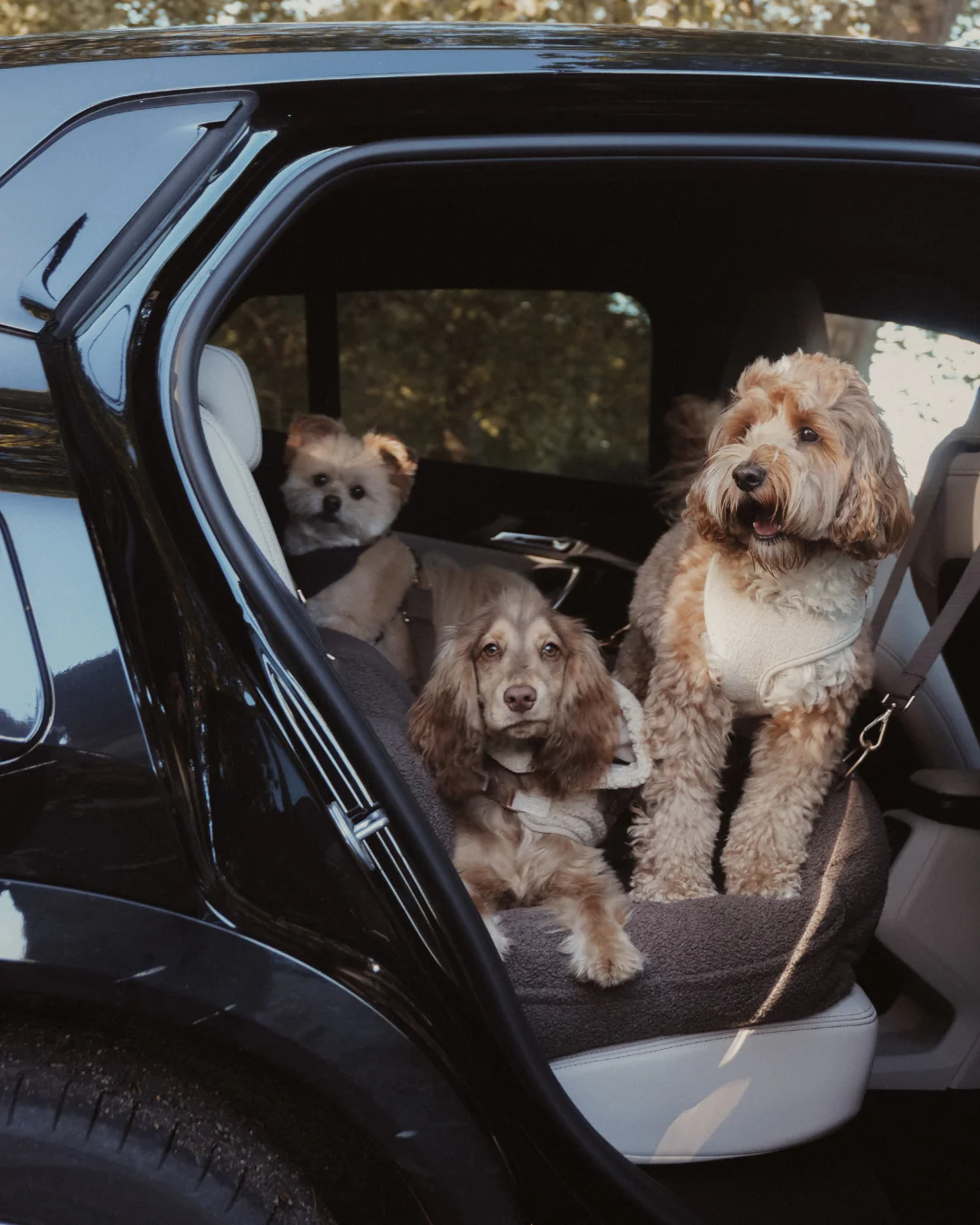 The XL Cosy Car Seat - Image 10