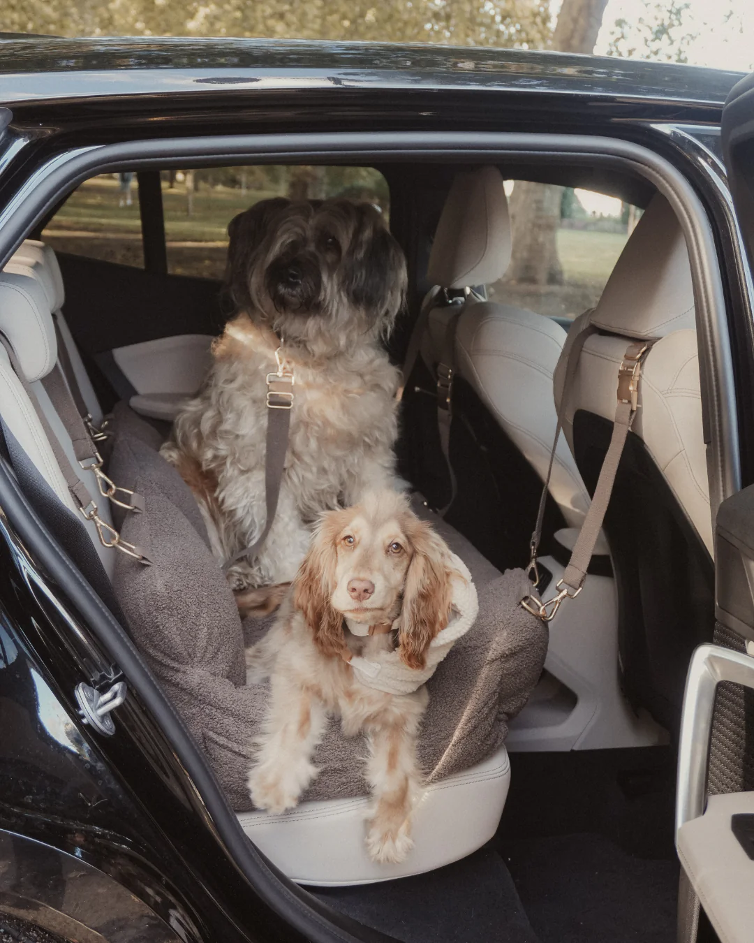 The XL Cosy Car Seat - Image 12