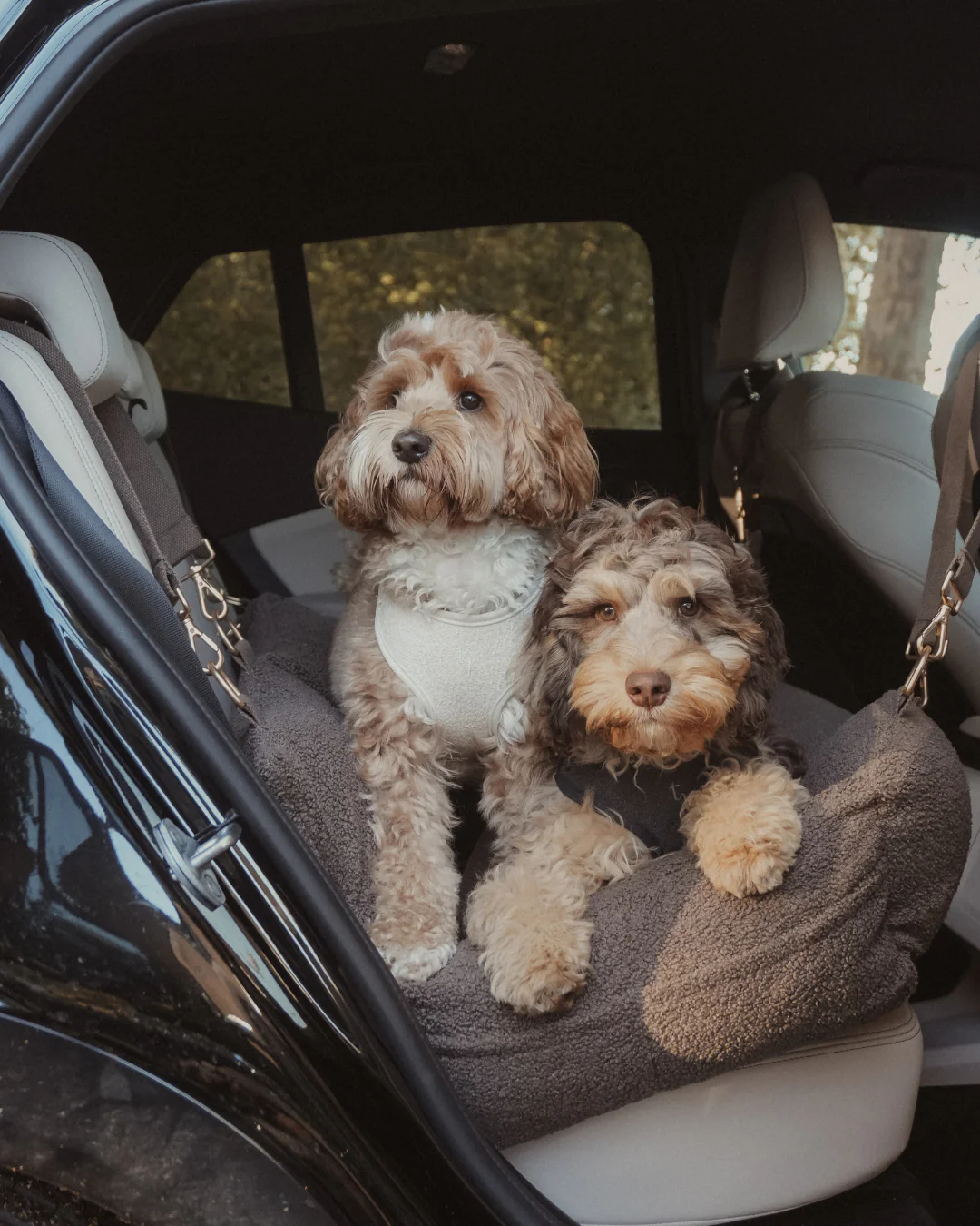 The XL Cosy Car Seat - Image 13