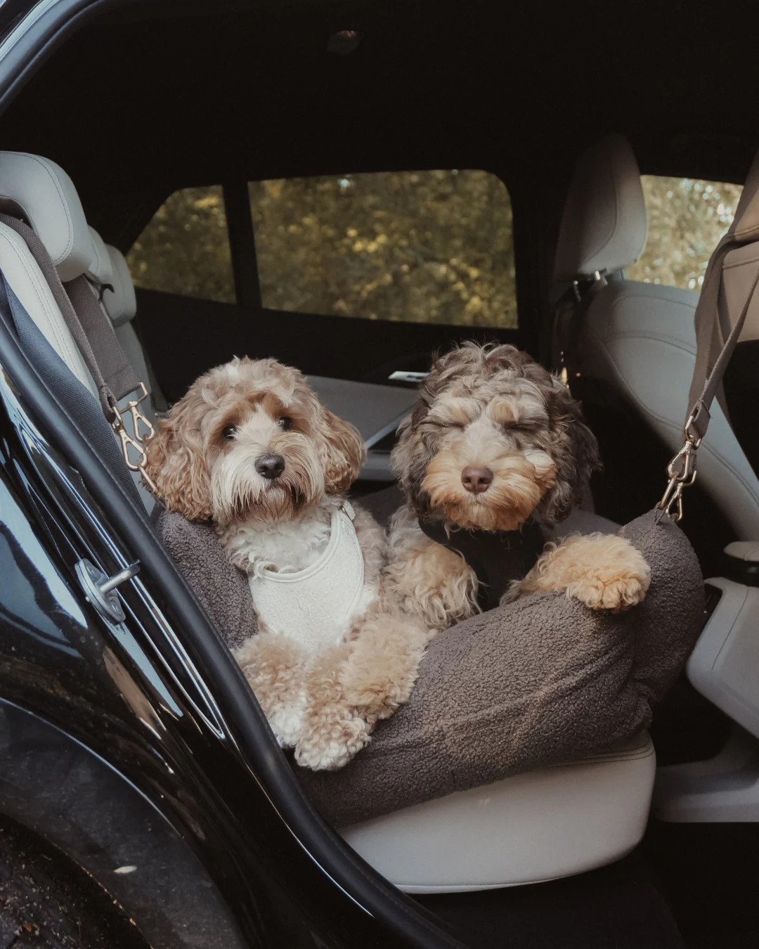 The XL Cosy Car Seat - Image 4