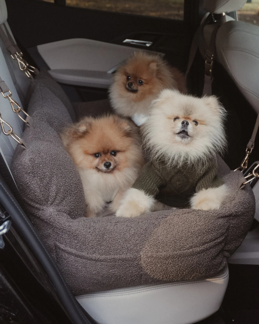 The XL Cosy Car Seat - Image 7