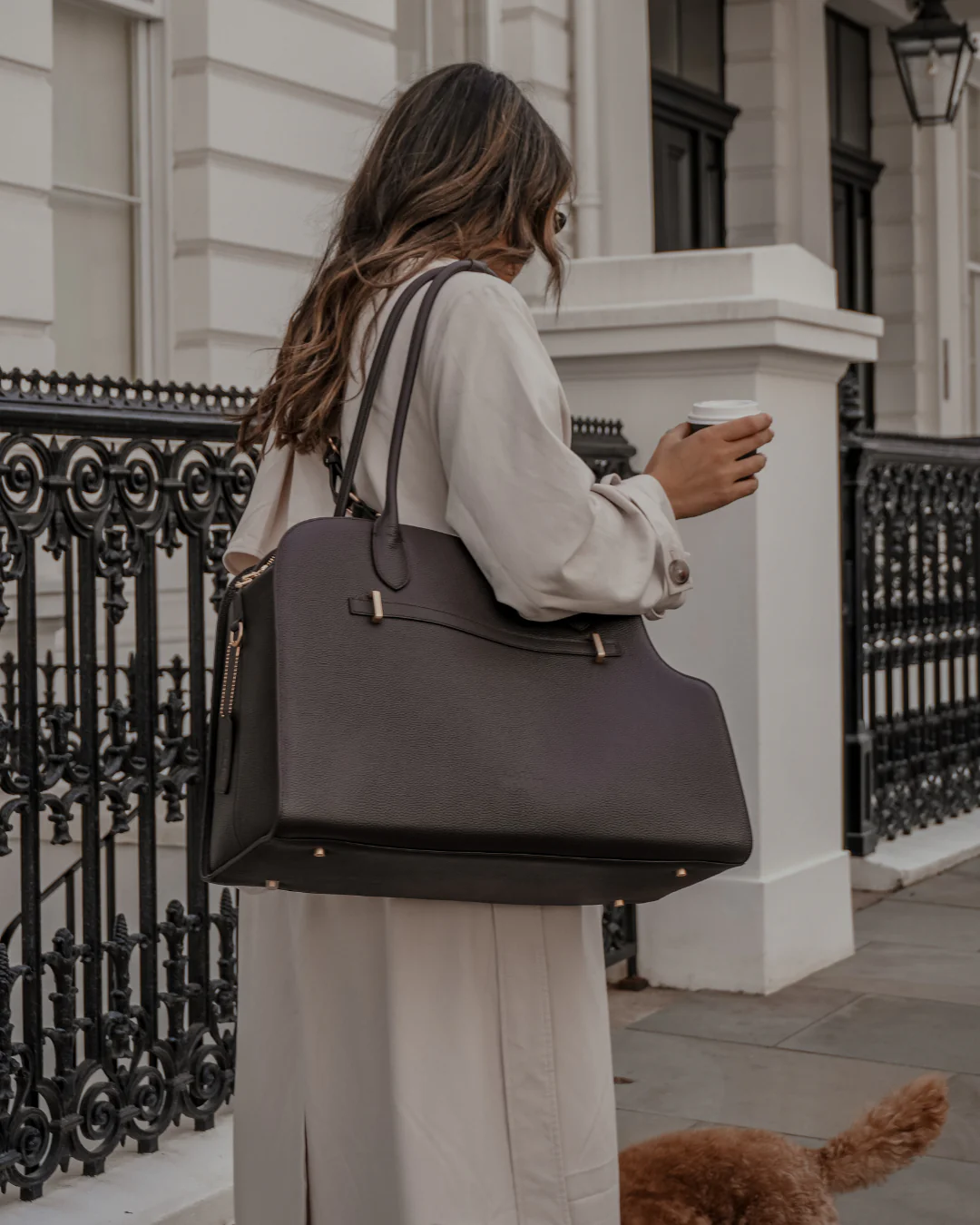 Chocolate | The Studio Carrier - Image 11