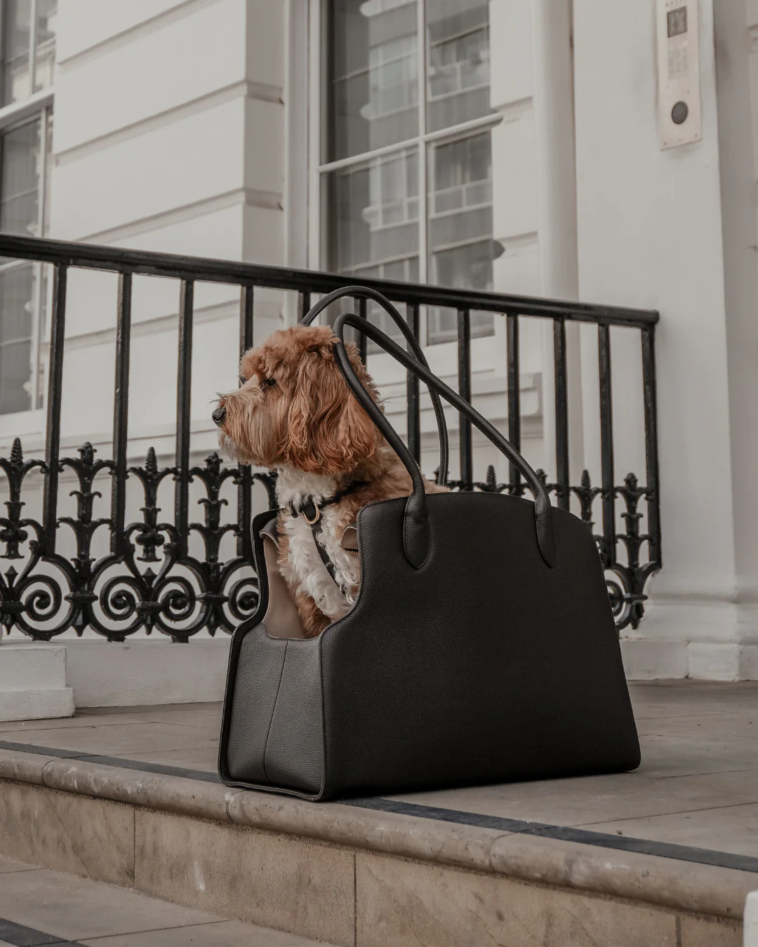 Chocolate | The Studio Carrier - Image 12