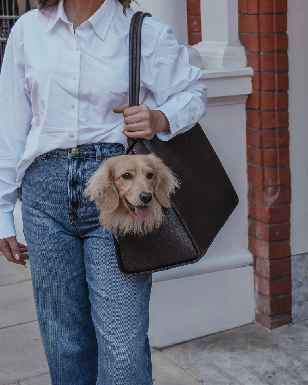 Chocolate | The Studio Carrier - Image 6