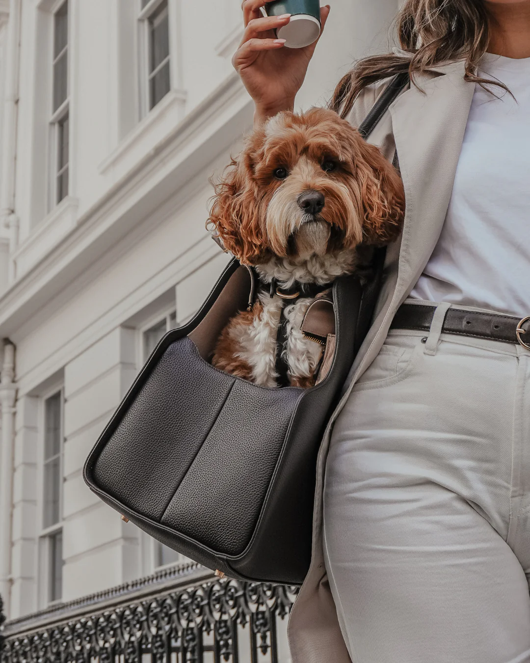 Chocolate | The Studio Carrier - Image 7