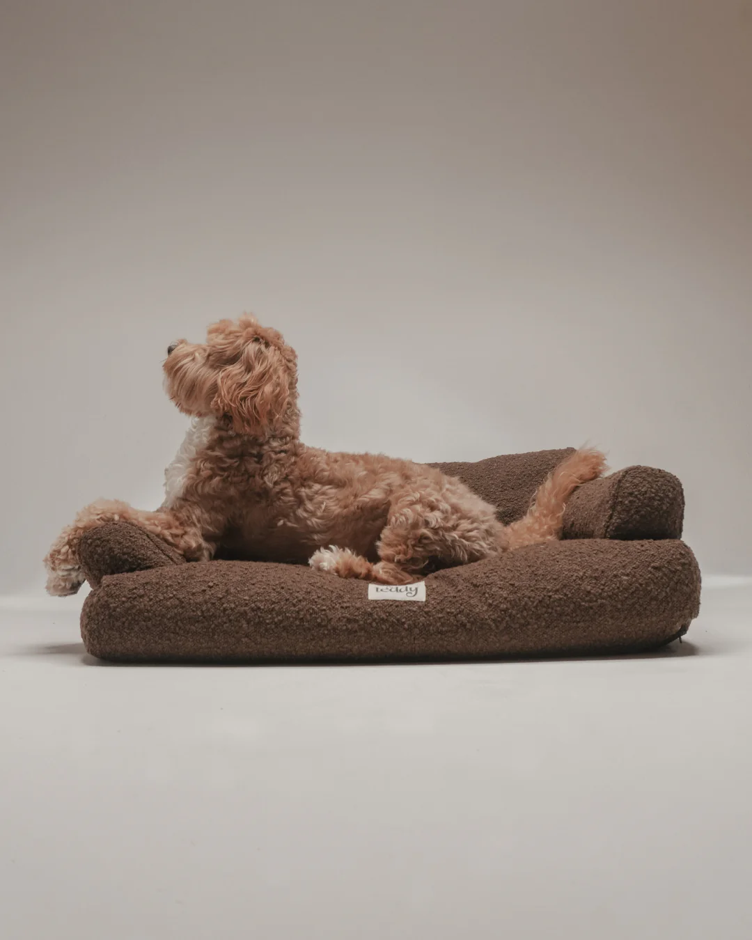 Chocolate | The Teddington Sofa - Image 4