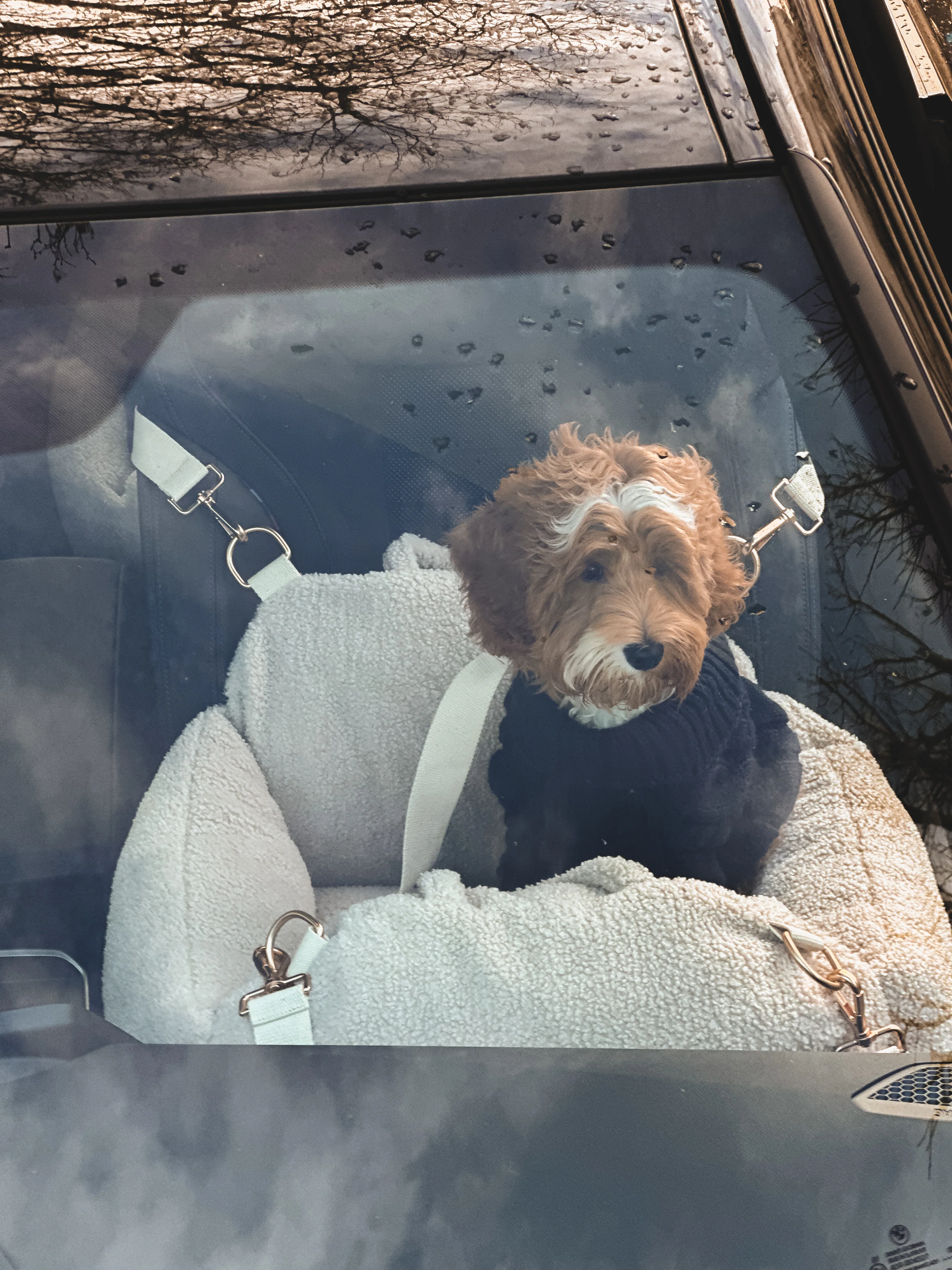 Hazelnut | The Cosy Car Seat - Image 7