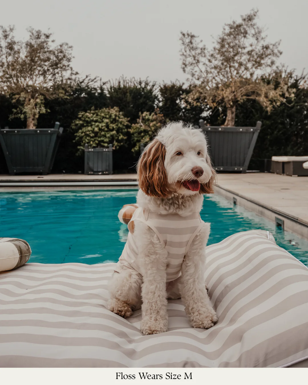 Hazelnut Stripe | Summer Breeze Cooling Vest - Image 12