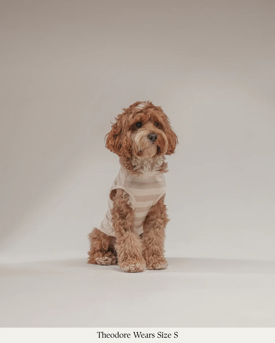 Hazelnut Stripe | Summer Breeze Cooling Vest - Image 3