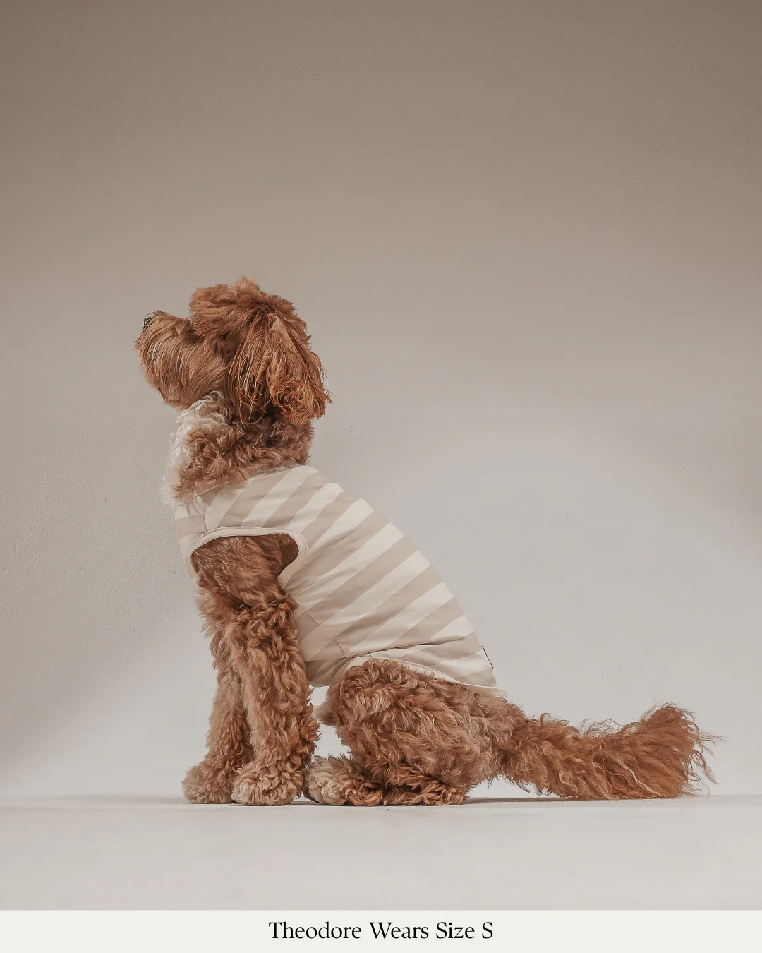 Hazelnut Stripe | Summer Breeze Cooling Vest - Image 5