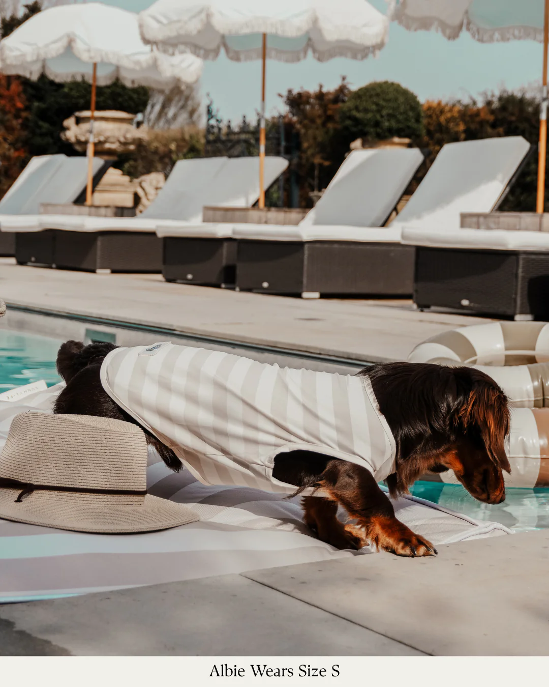 Hazelnut Stripe | Summer Breeze Cooling Vest - Image 6