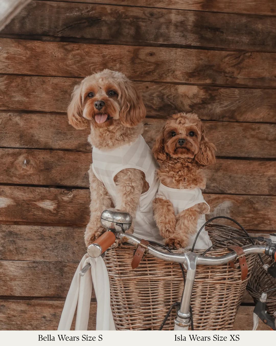 Hazelnut Stripe | Summer Breeze Cooling Vest - Image 9