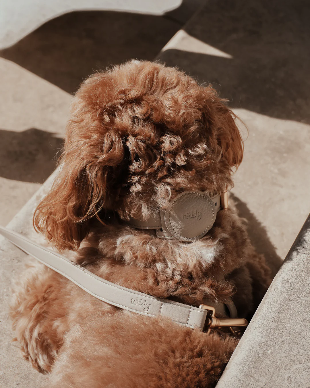 Hazelnut┃Studio AirTag Holder - Image 3