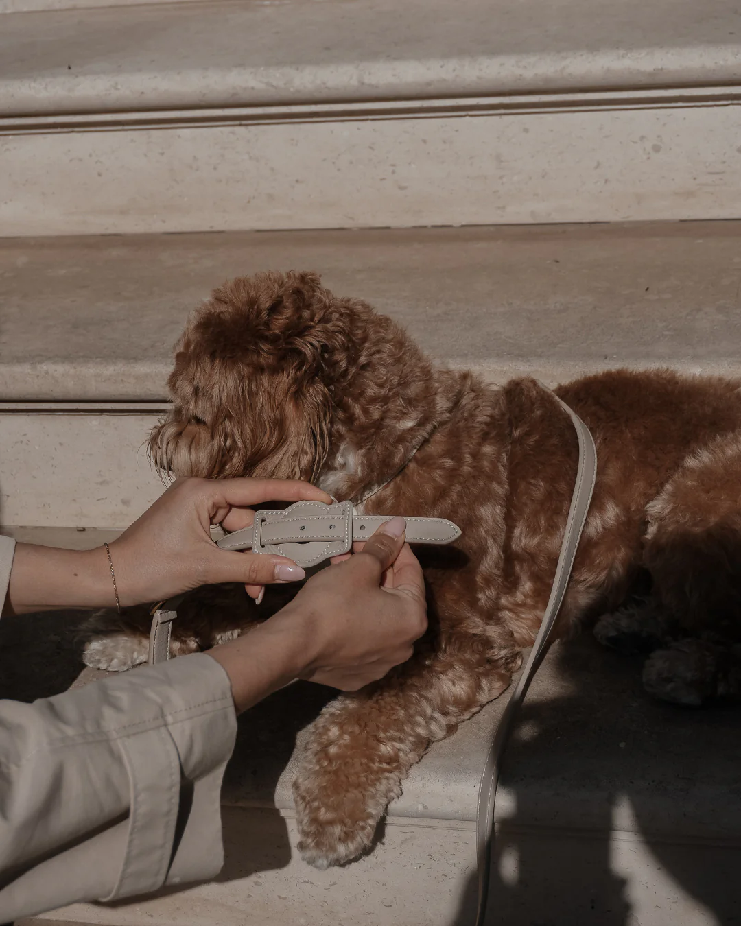 Hazelnut┃Studio AirTag Holder - Image 5