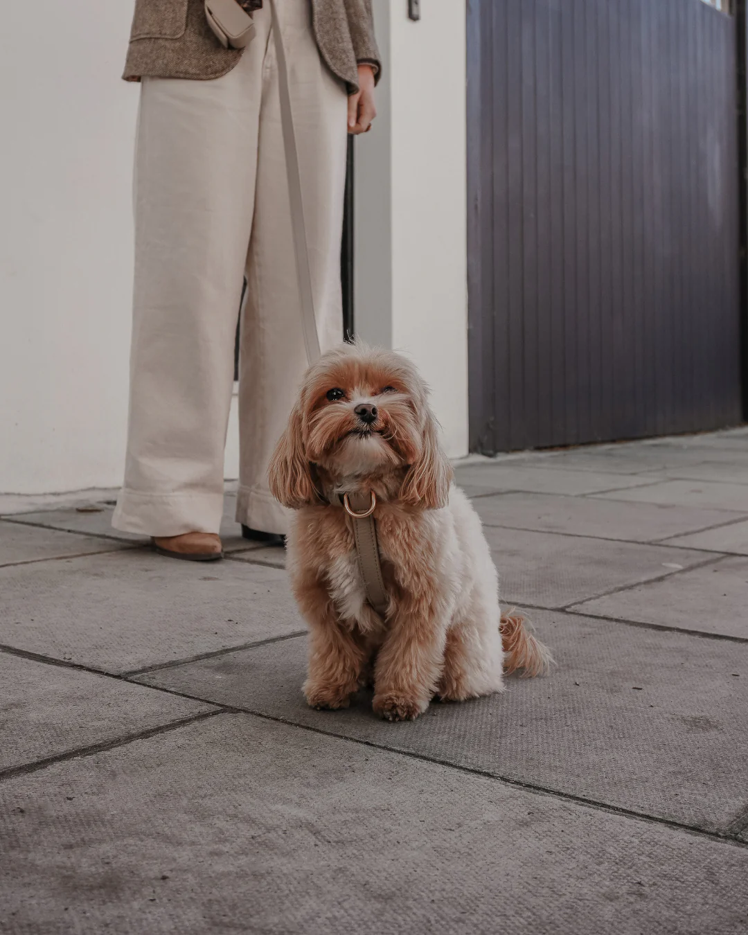 Hazelnut┃Studio Step-In Harness - Image 10