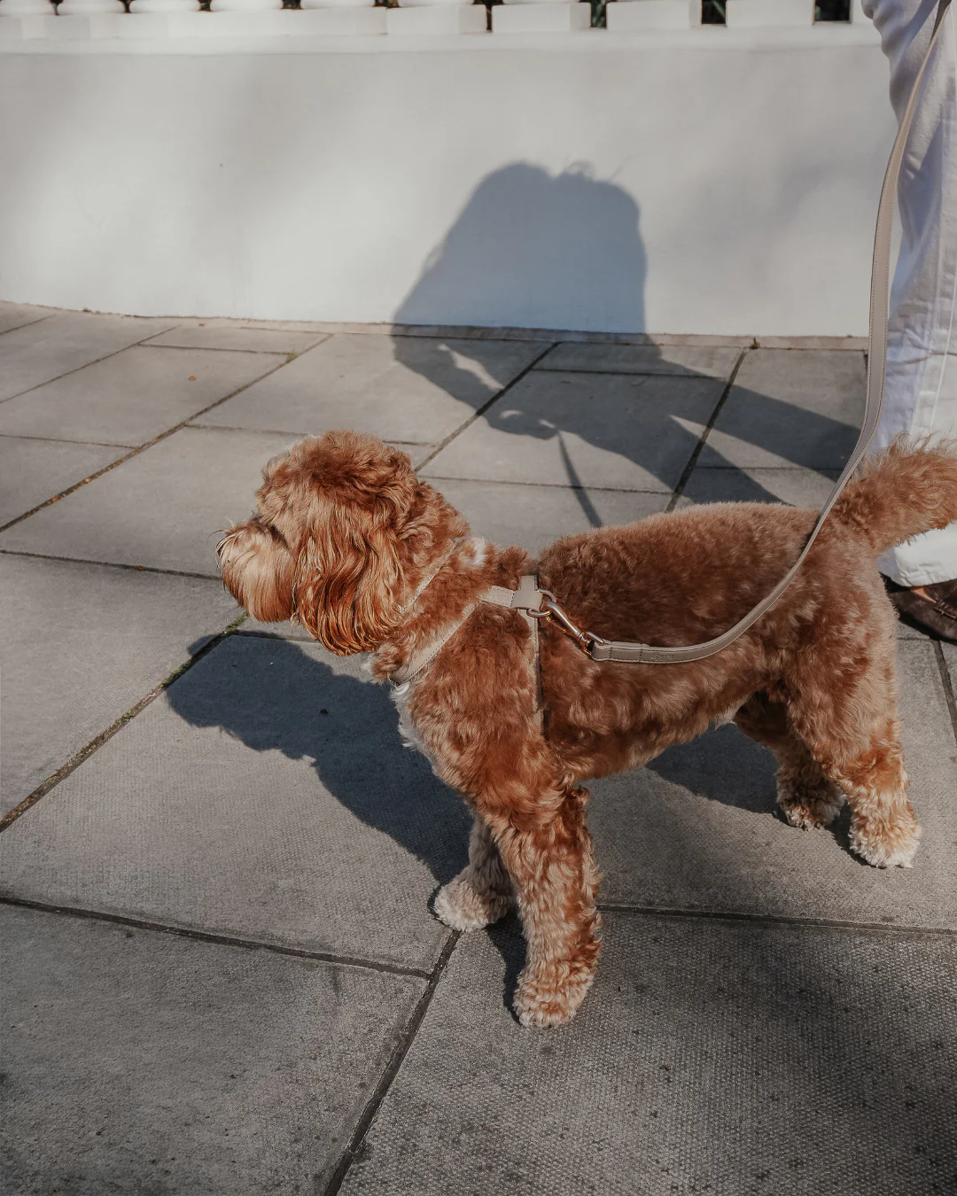 Hazelnut┃Studio Step-In Harness - Image 7