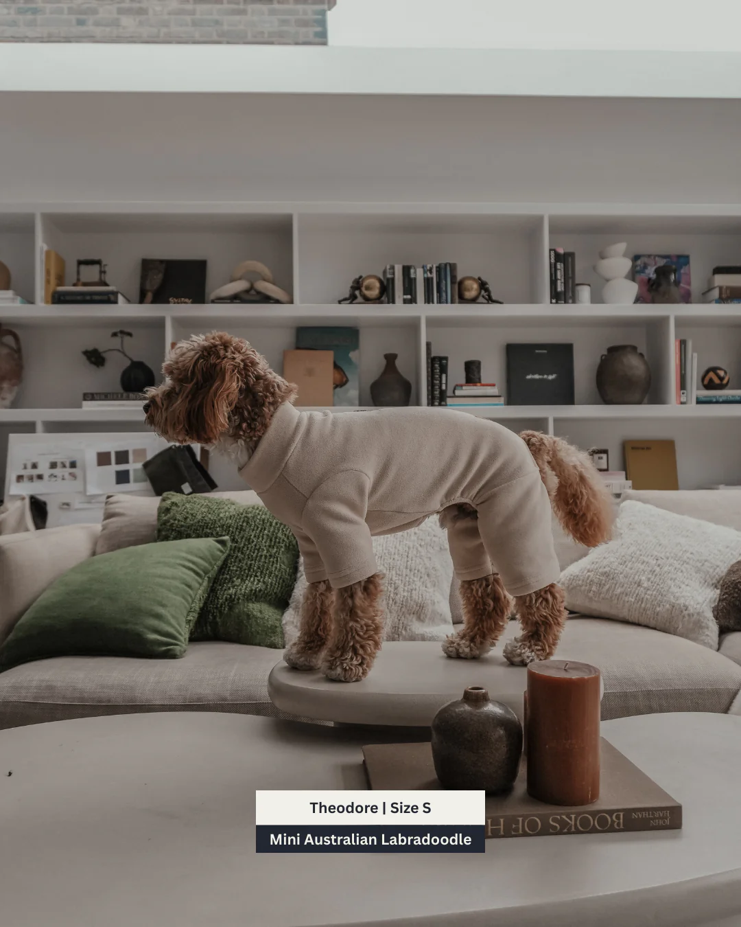 Hazelnut | The Capsule Fleece Bodysuit - Image 14