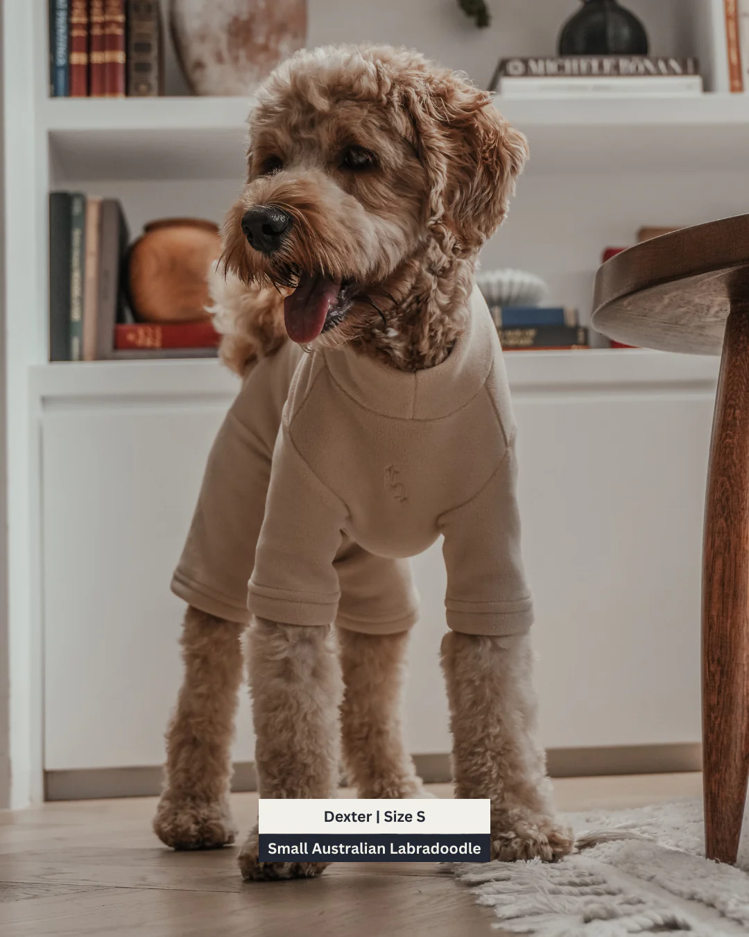 Hazelnut | The Capsule Fleece Bodysuit - Image 4