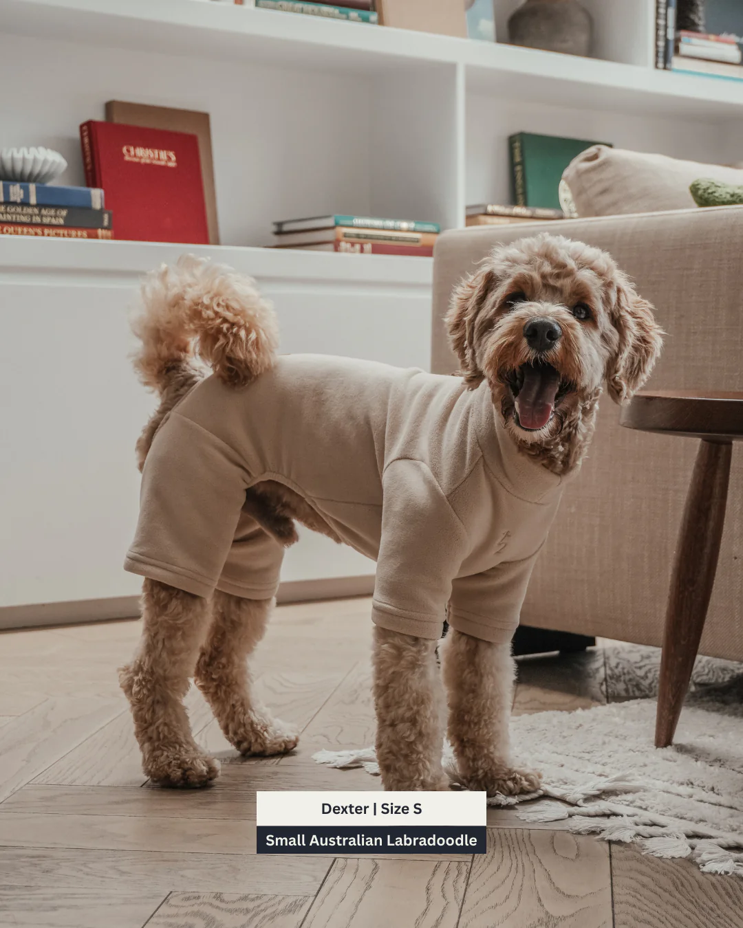 Hazelnut | The Capsule Fleece Bodysuit - Image 9