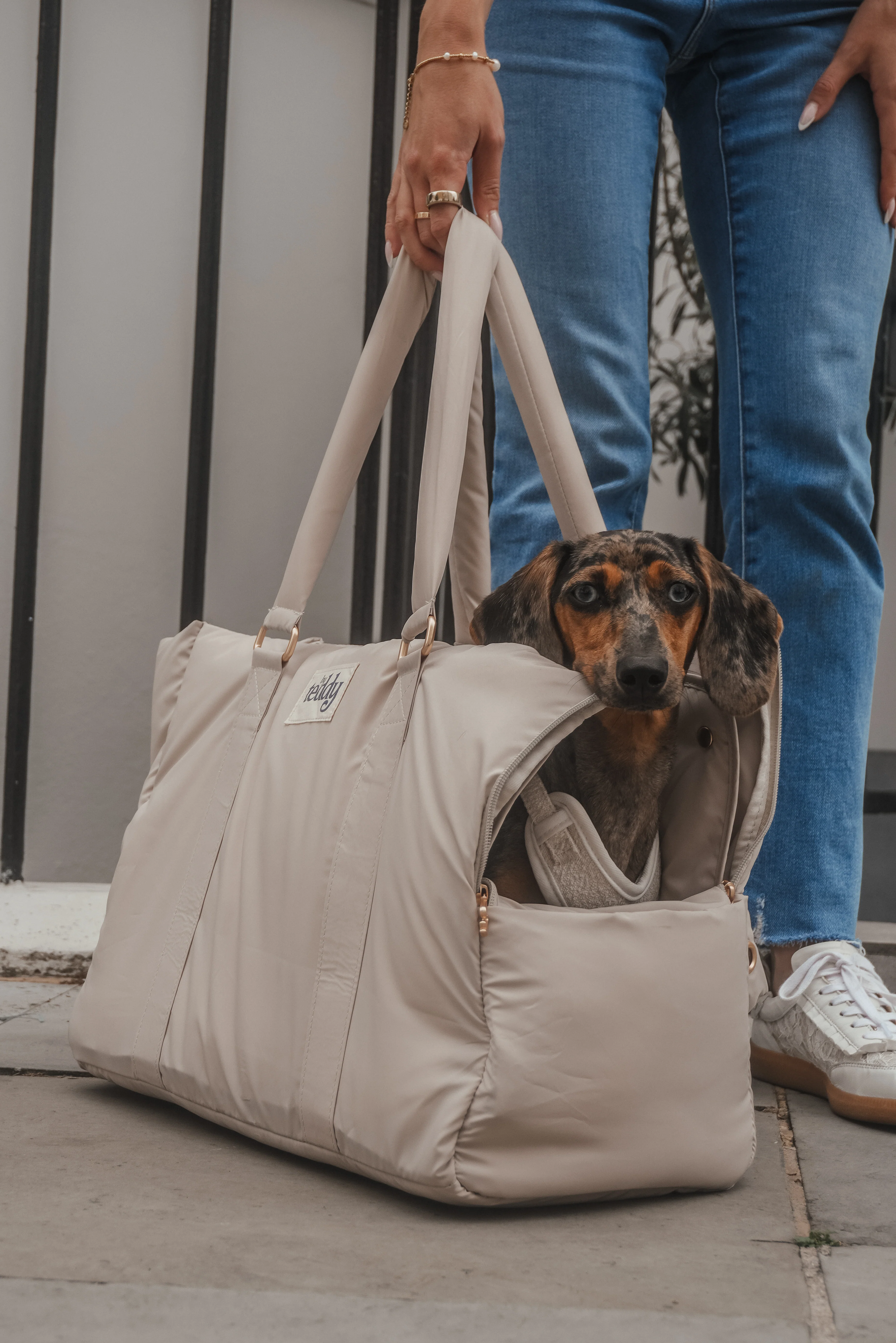 Hazelnut┃The Puffer Carrier - Image 12