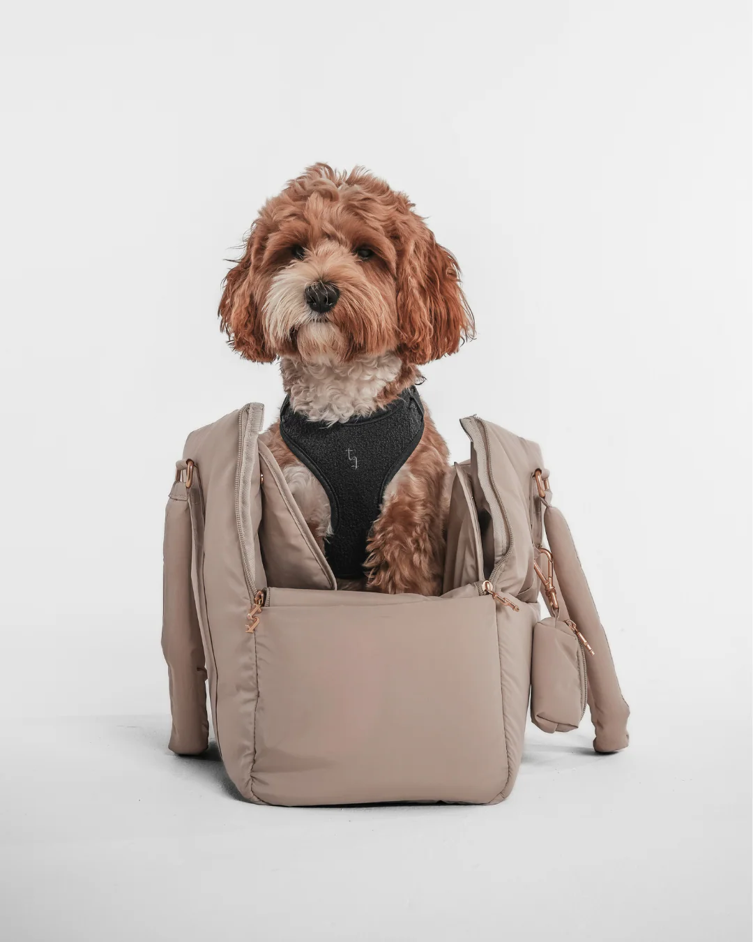 Hazelnut┃The Puffer Carrier - Image 16