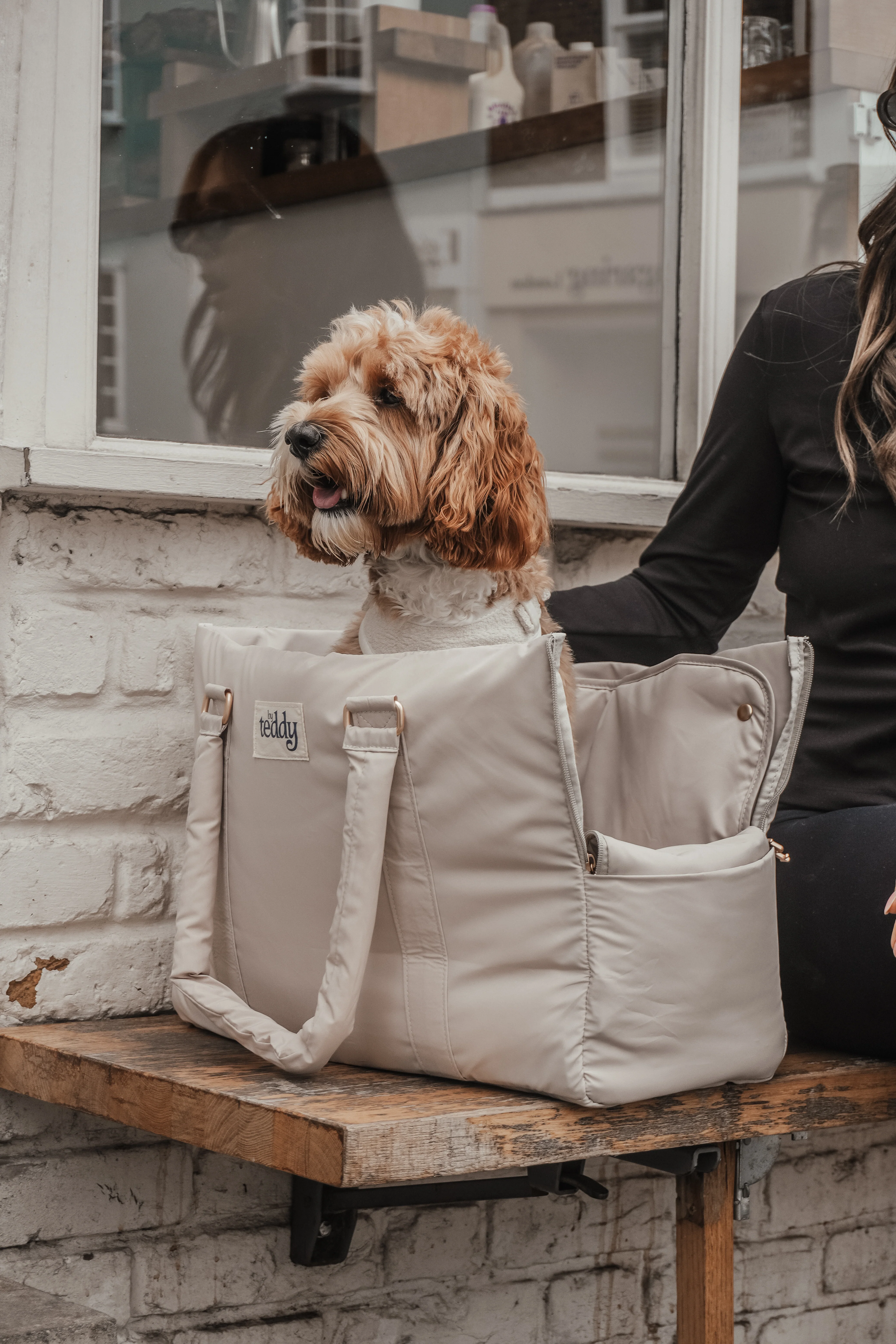 Hazelnut┃The Puffer Carrier - Image 17