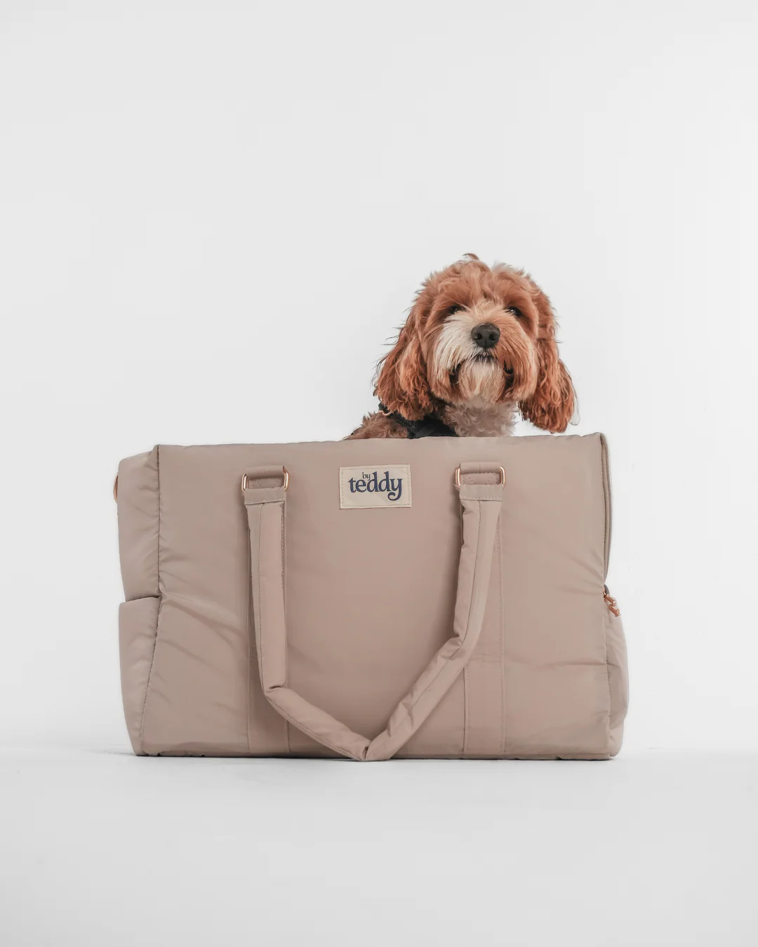 Hazelnut┃The Puffer Carrier - Image 18