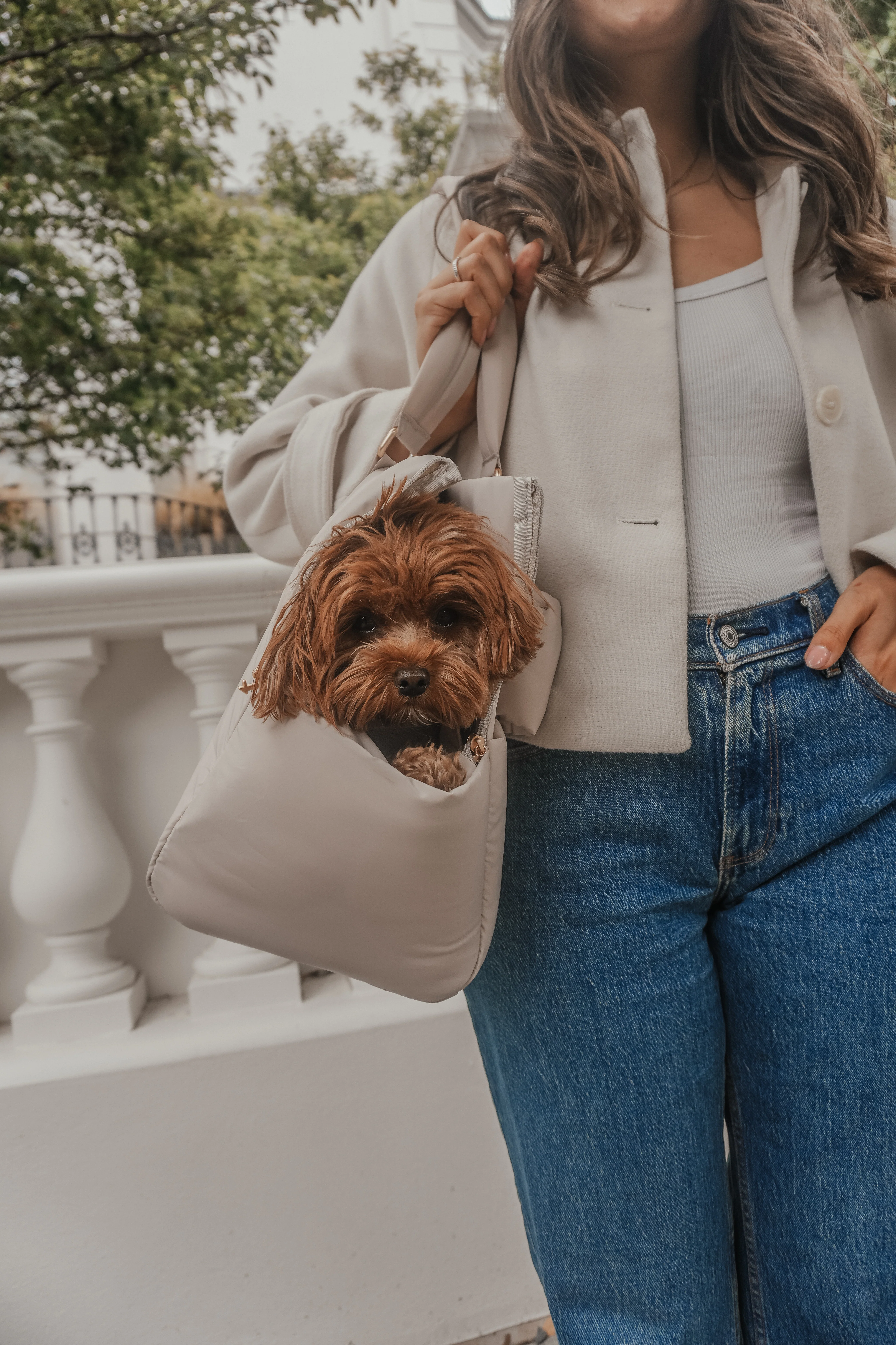 Hazelnut┃The Puffer Carrier - Image 19