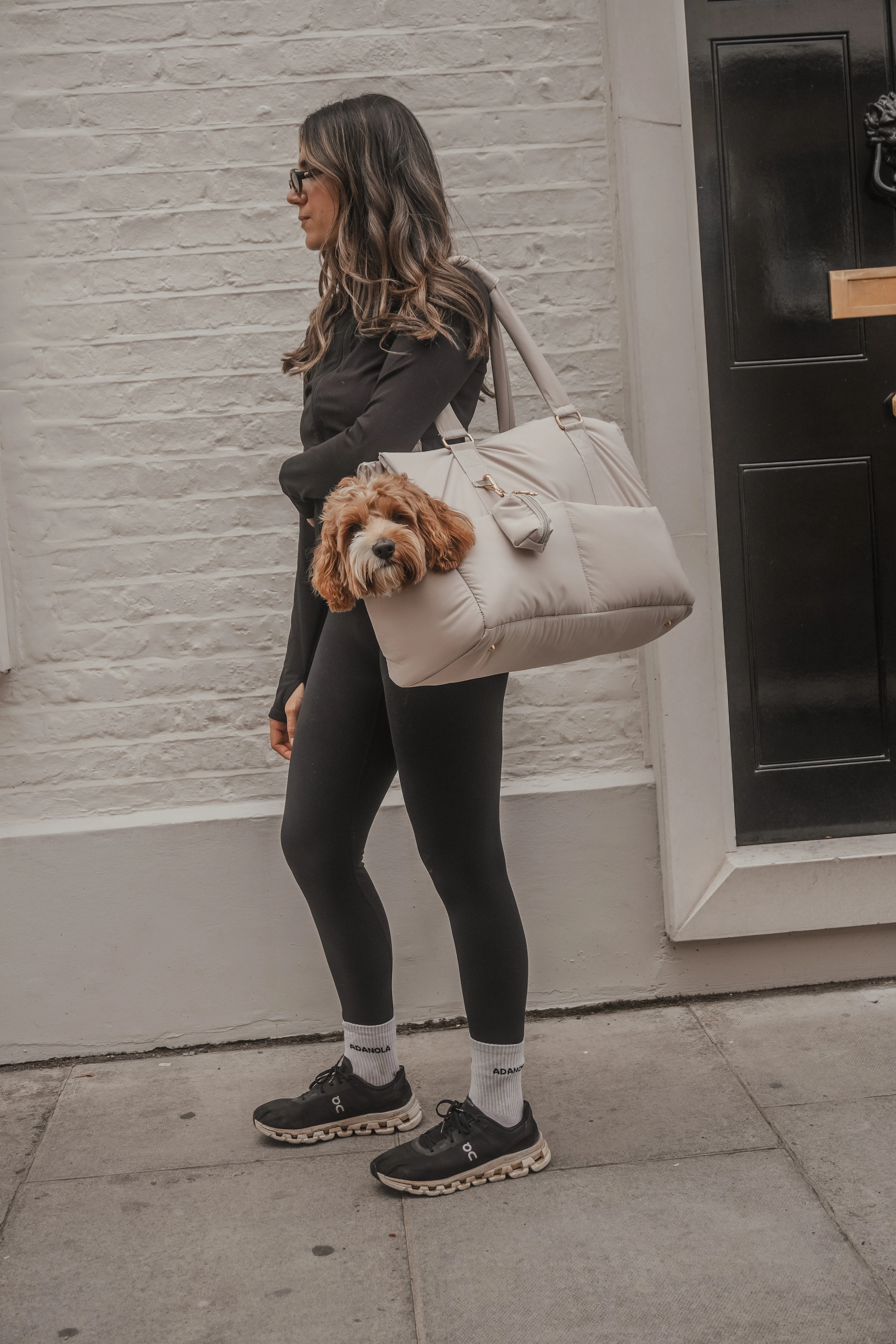 Hazelnut┃The Puffer Carrier - Image 21