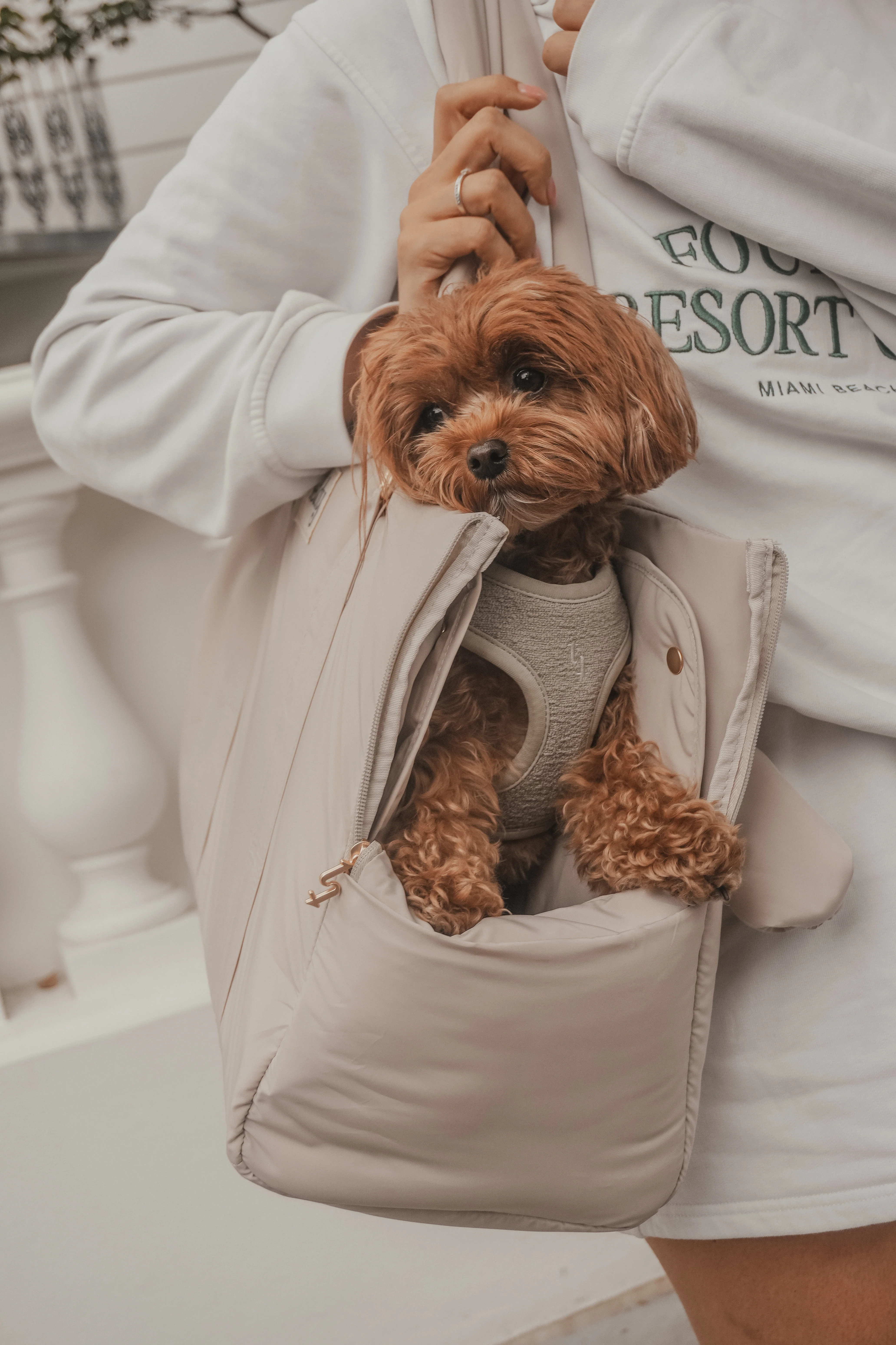 Hazelnut┃The Puffer Carrier - Image 3