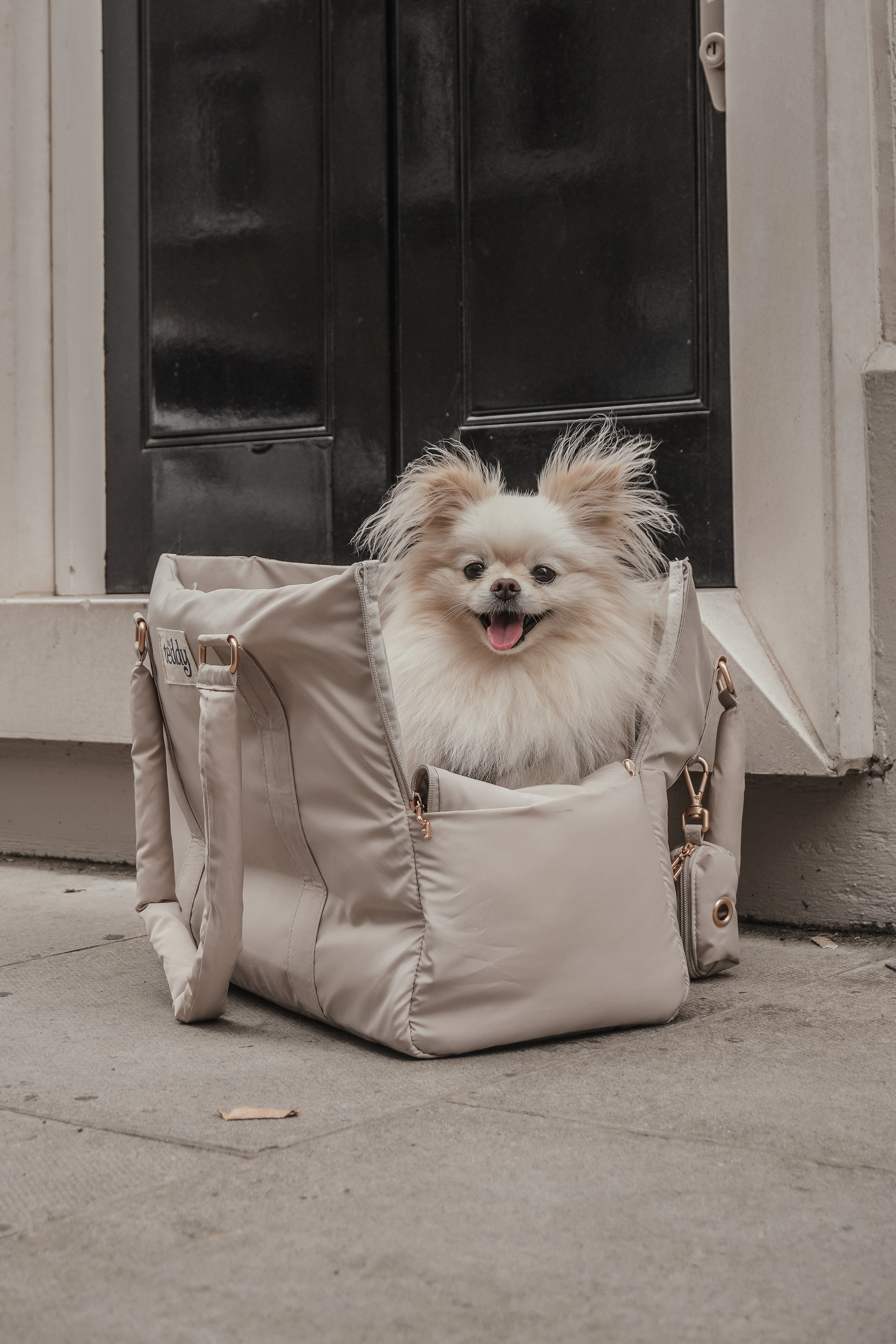 Hazelnut┃The Puffer Carrier - Image 6