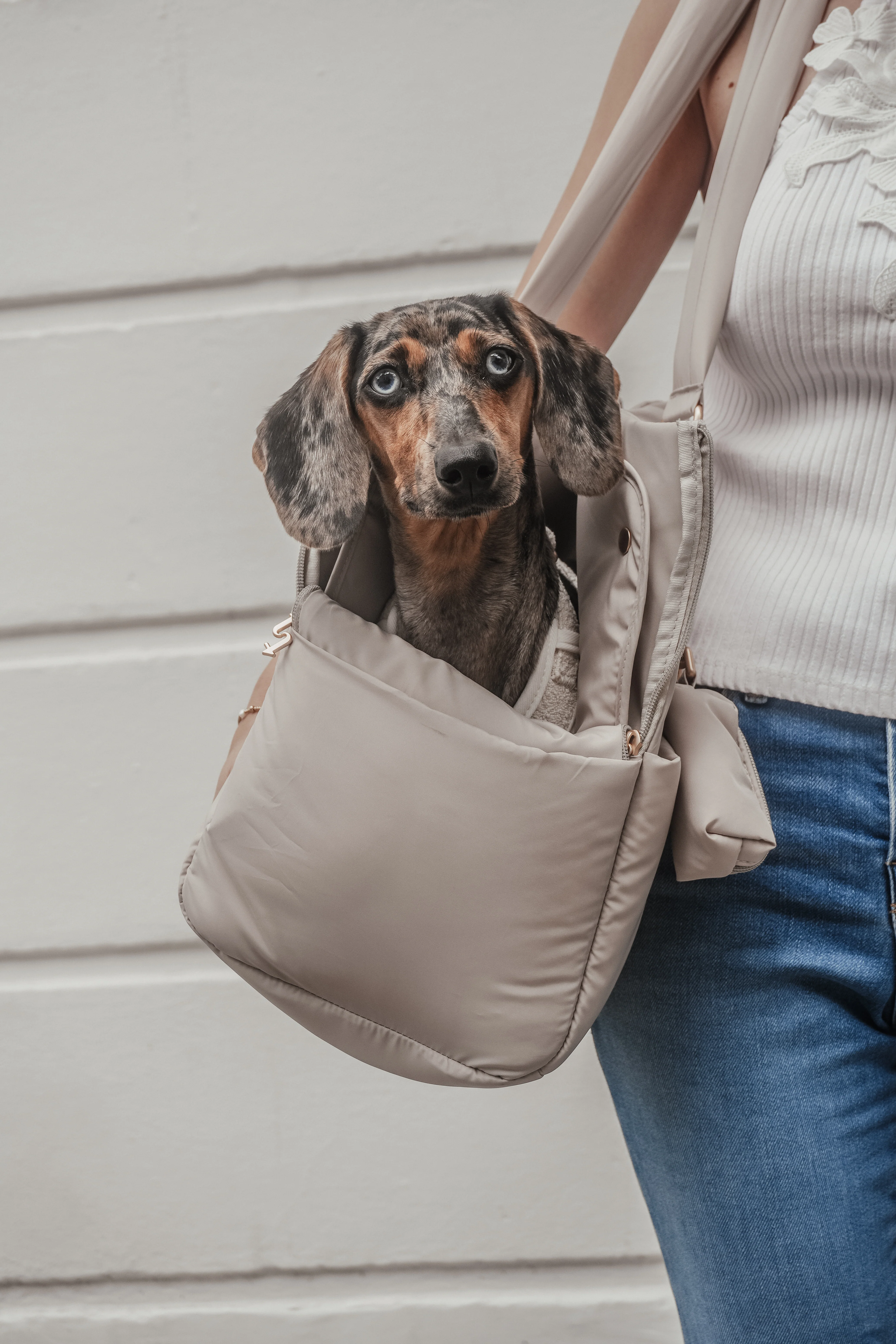 Hazelnut┃The Puffer Carrier - Image 7