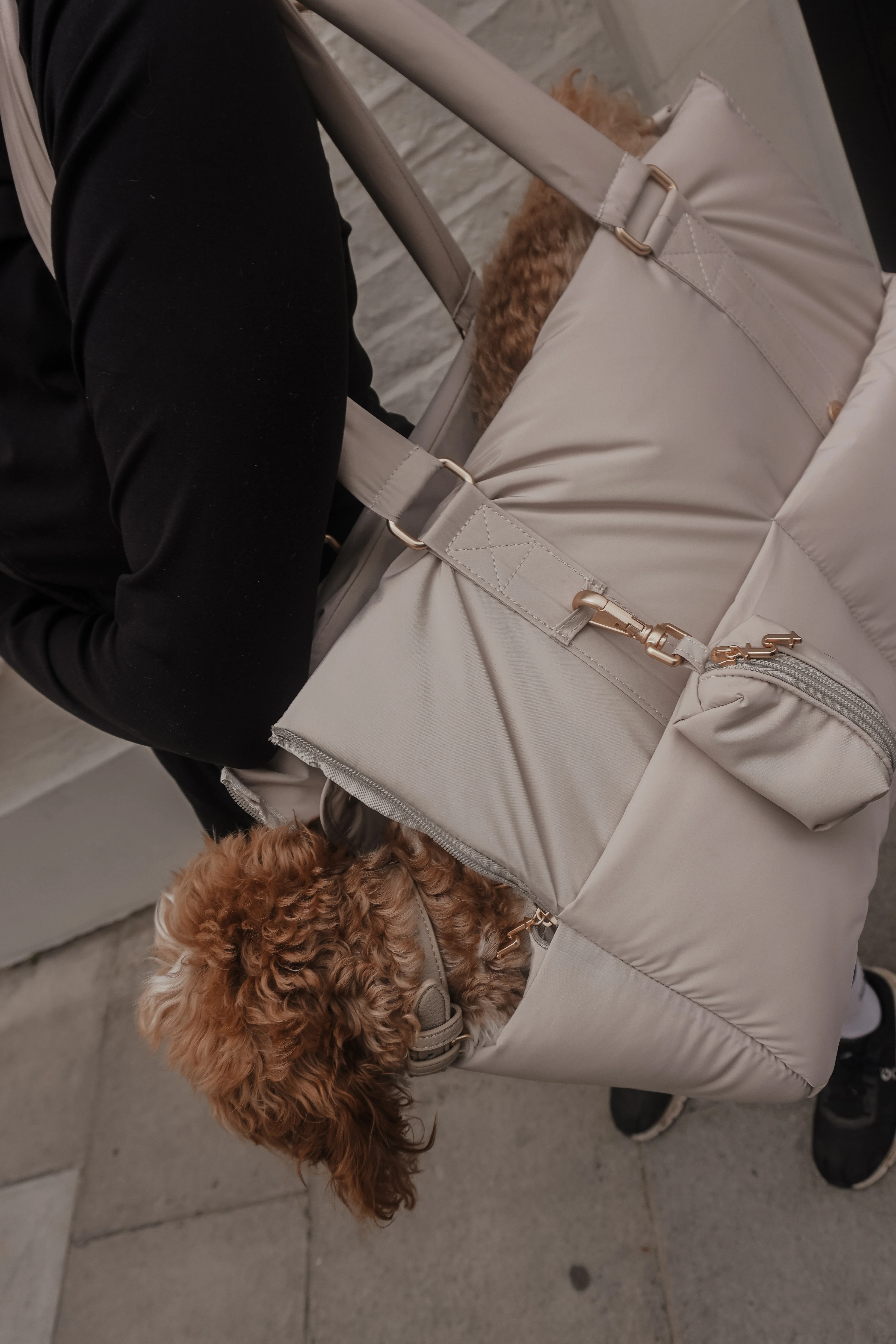 Hazelnut┃The Puffer Carrier - Image 9