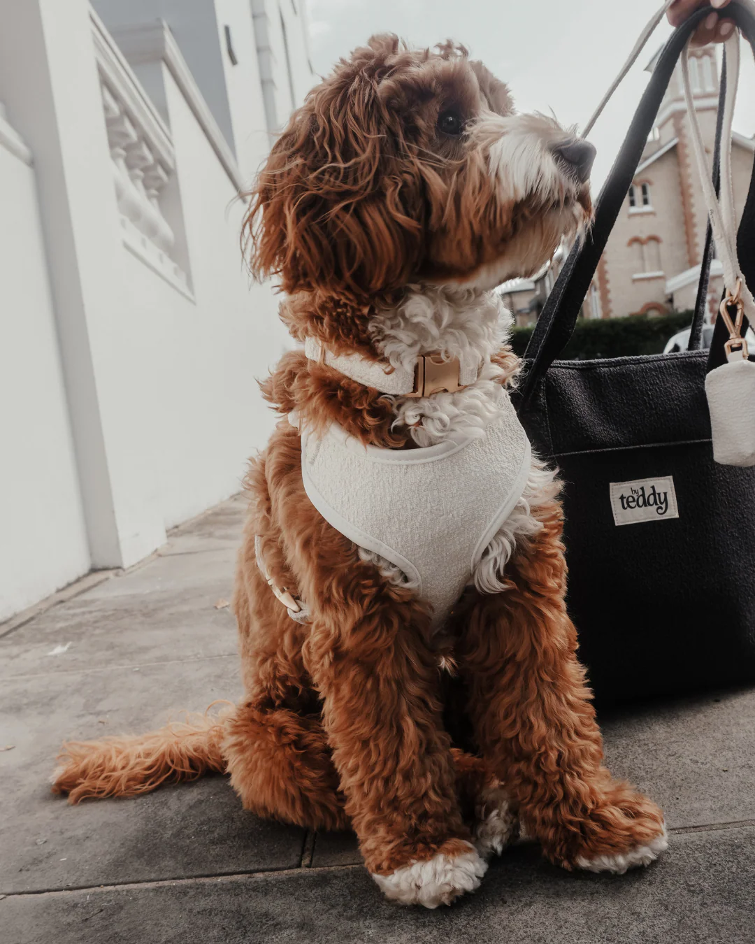 Marshmallow┃Bouclé Adjustable Harness - Image 10