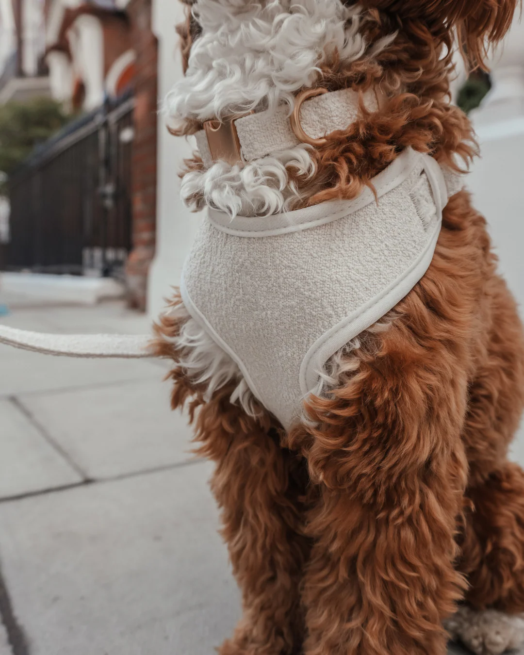 Marshmallow┃Bouclé Adjustable Harness - Image 6