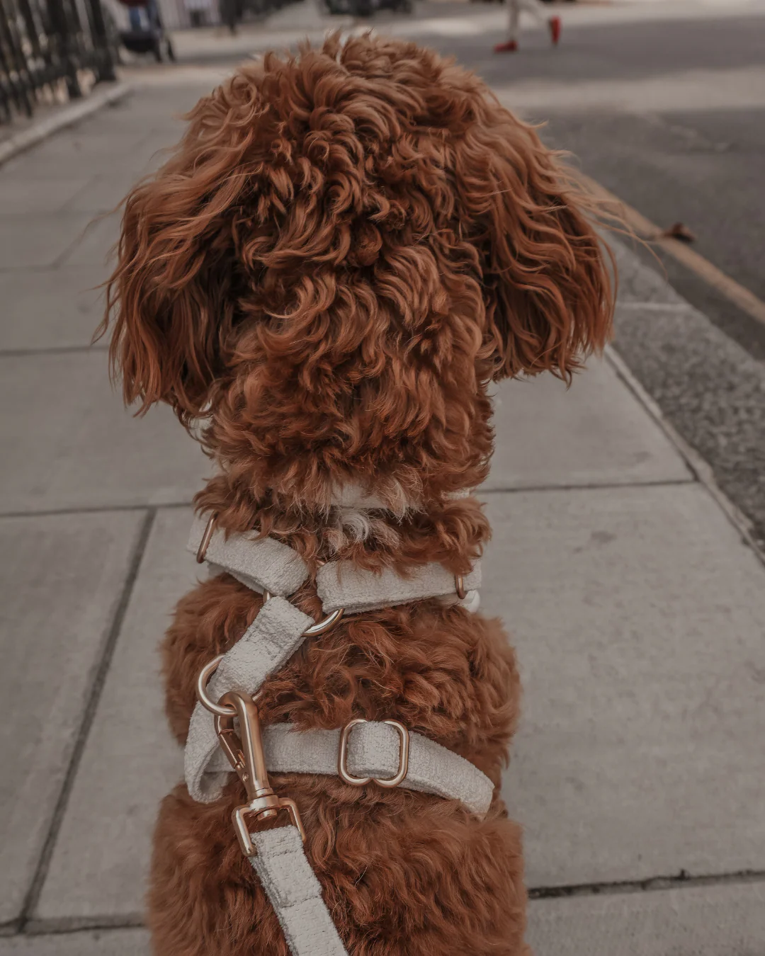 Marshmallow┃Bouclé Adjustable Harness - Image 7