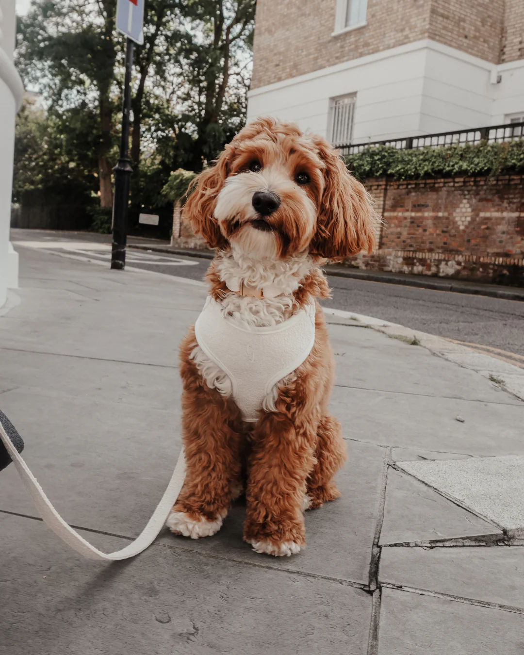 Marshmallow┃Bouclé Adjustable Harness - Image 8